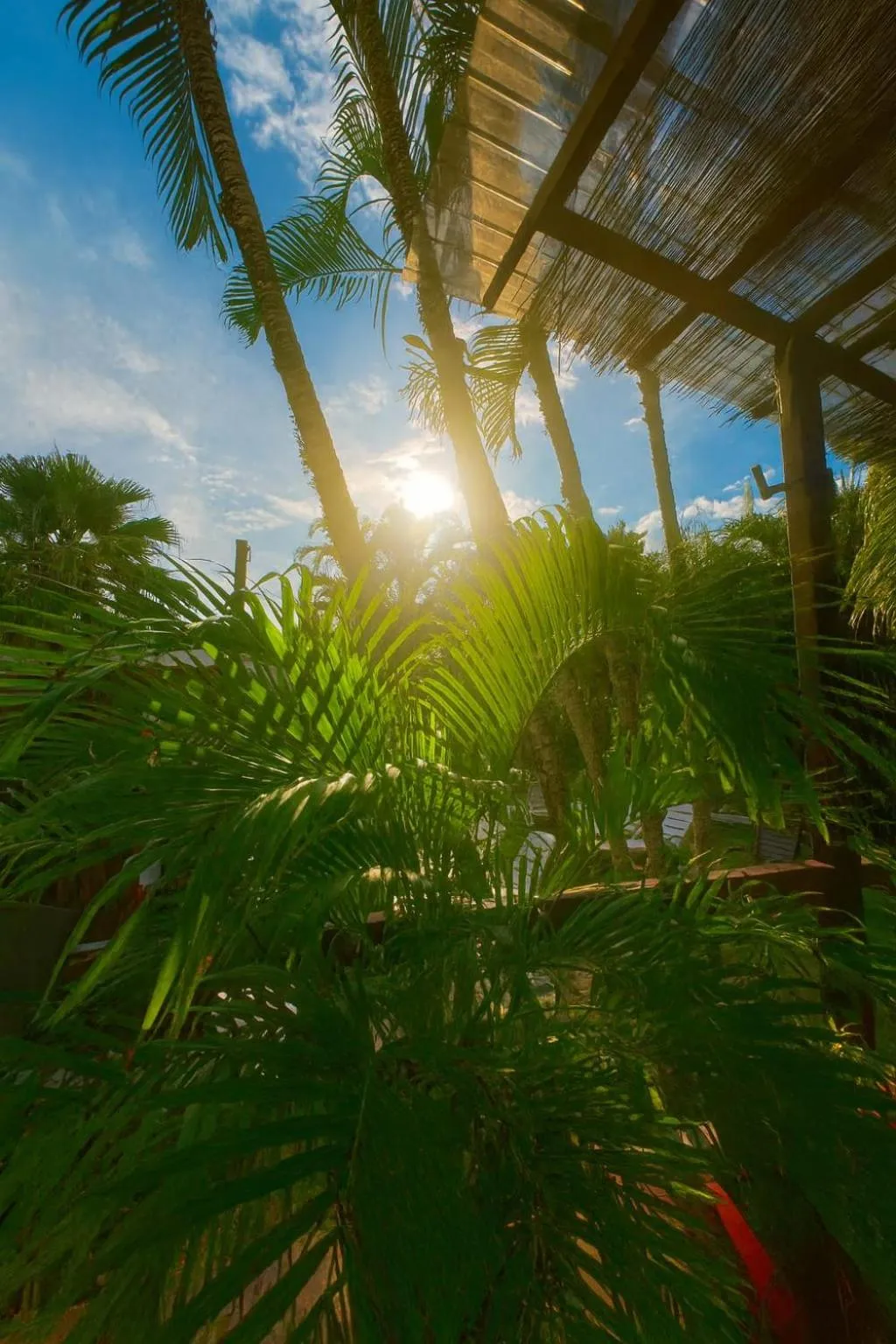 Property building in CLUB IBIZA - Party Hotel & Beach Club