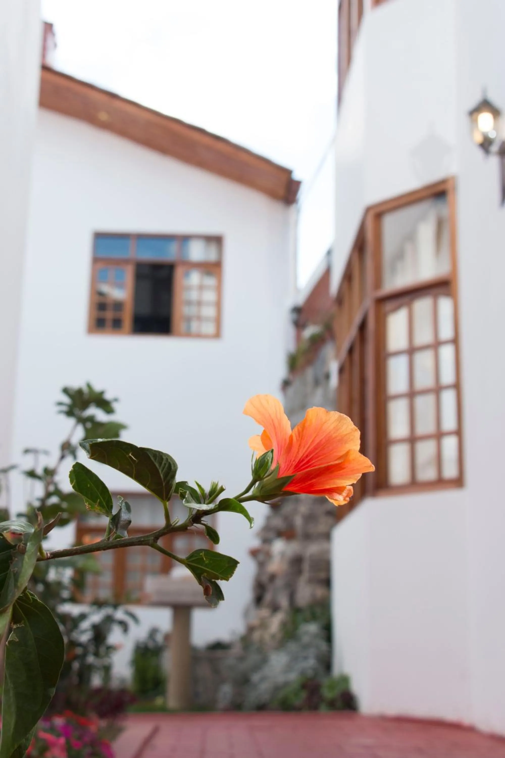 Property building in Hotel & Bungalows Villa Valencia