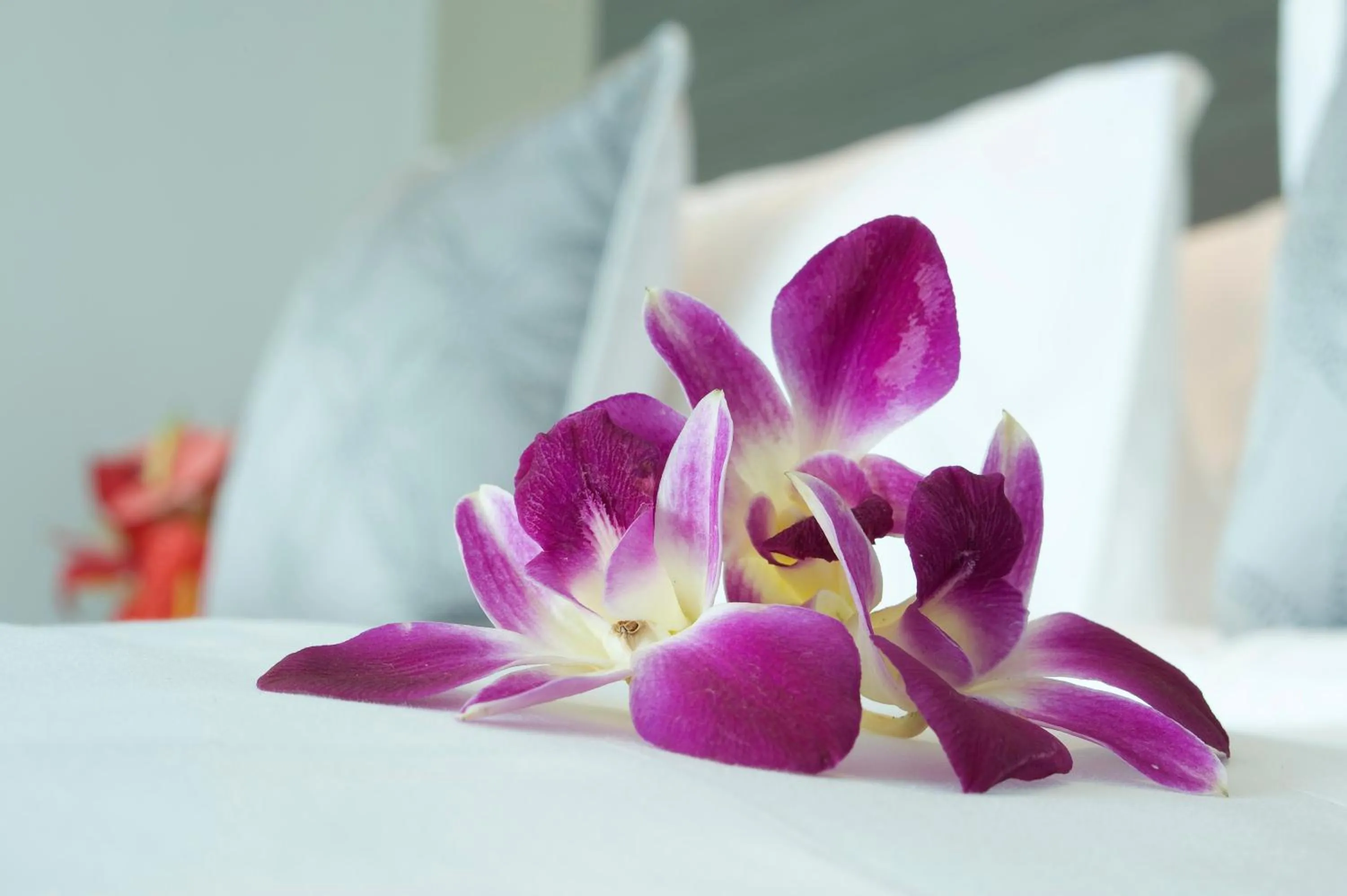 Decorative detail, Bed in Pullman Kuching