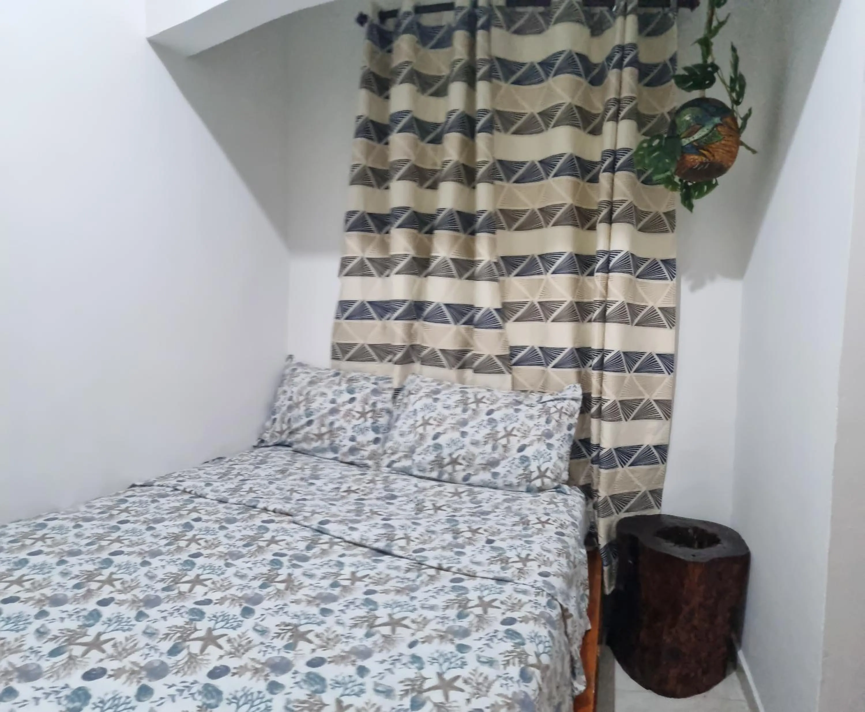 Bed in Casa Hostel San Andres