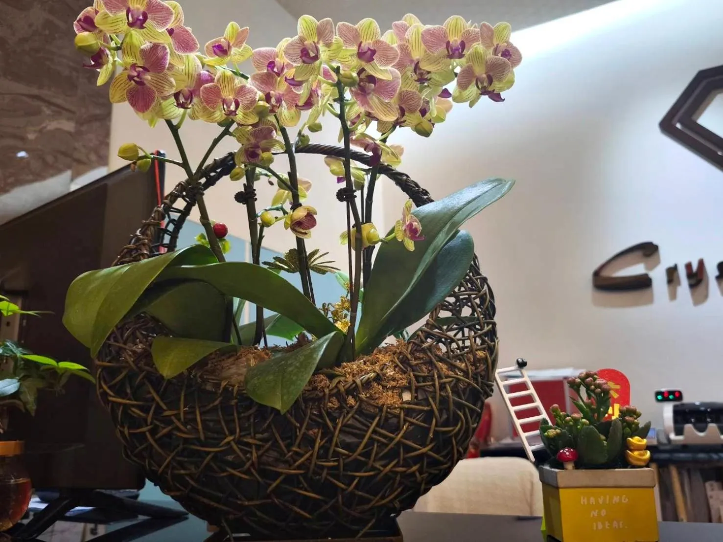 Property building in Crystal Hotel