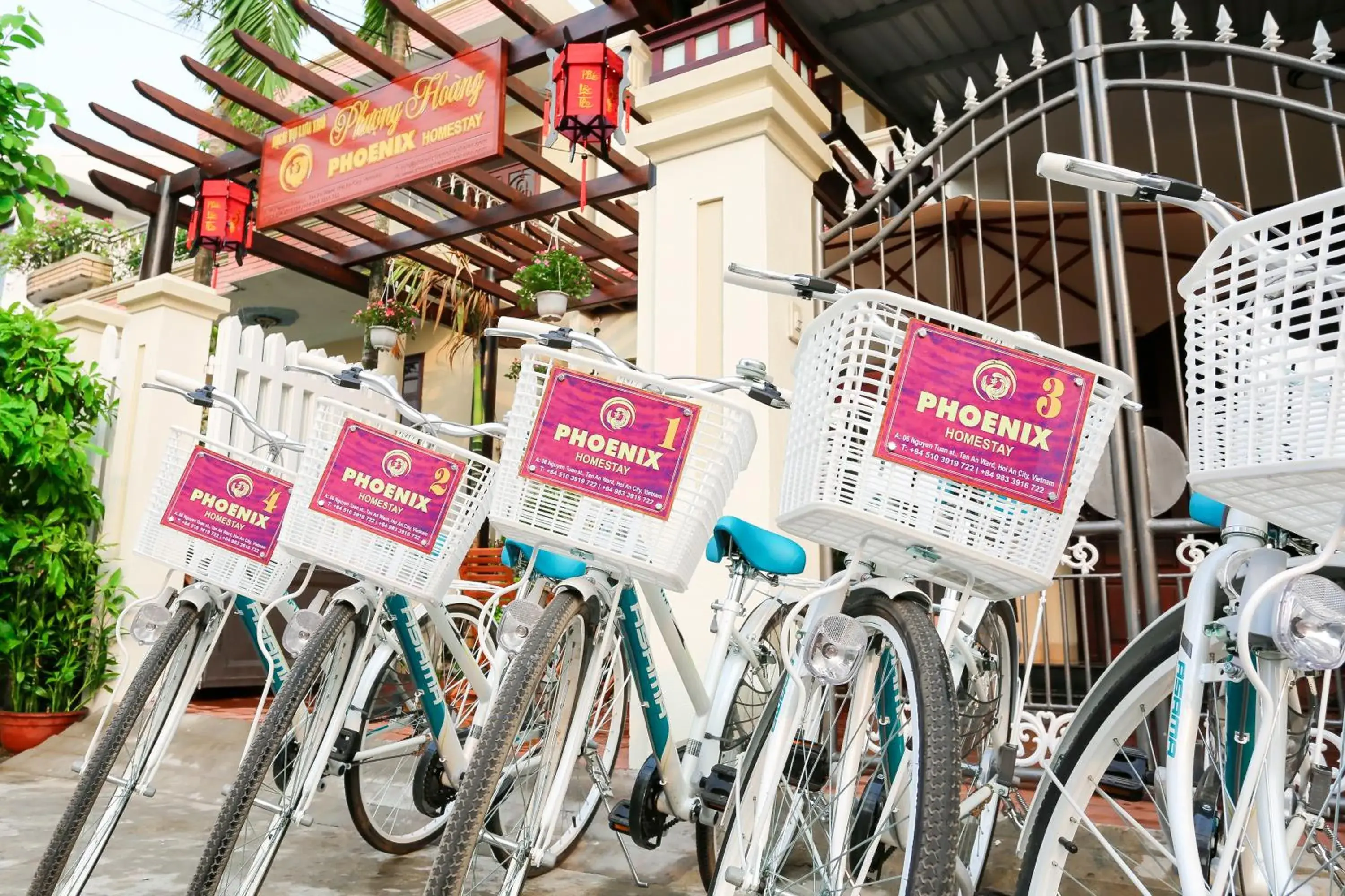 Cycling in Phoenix Homestay Cycling in Phoenix Homestay