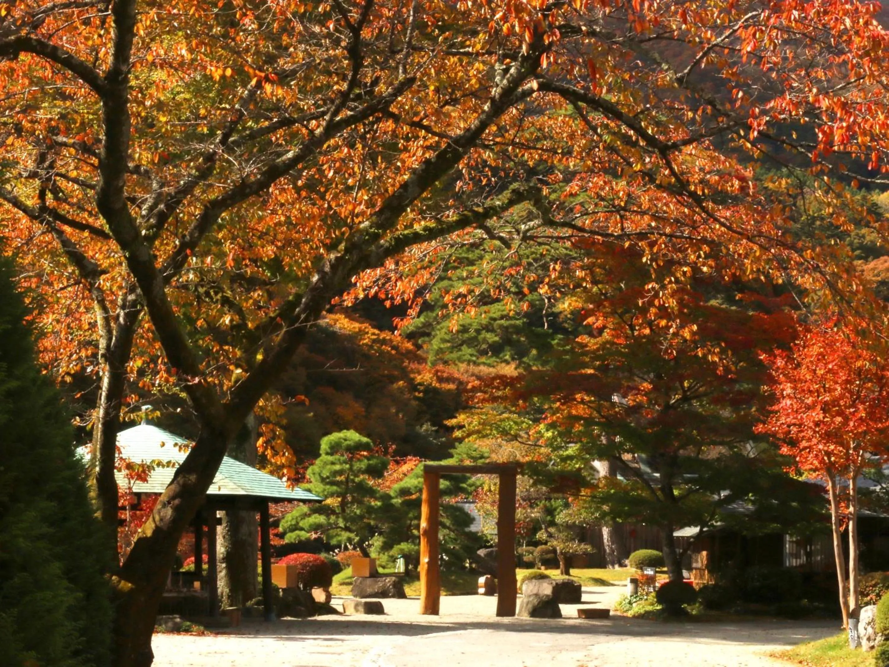 Property building in Itamuro Onsen Daikokuya