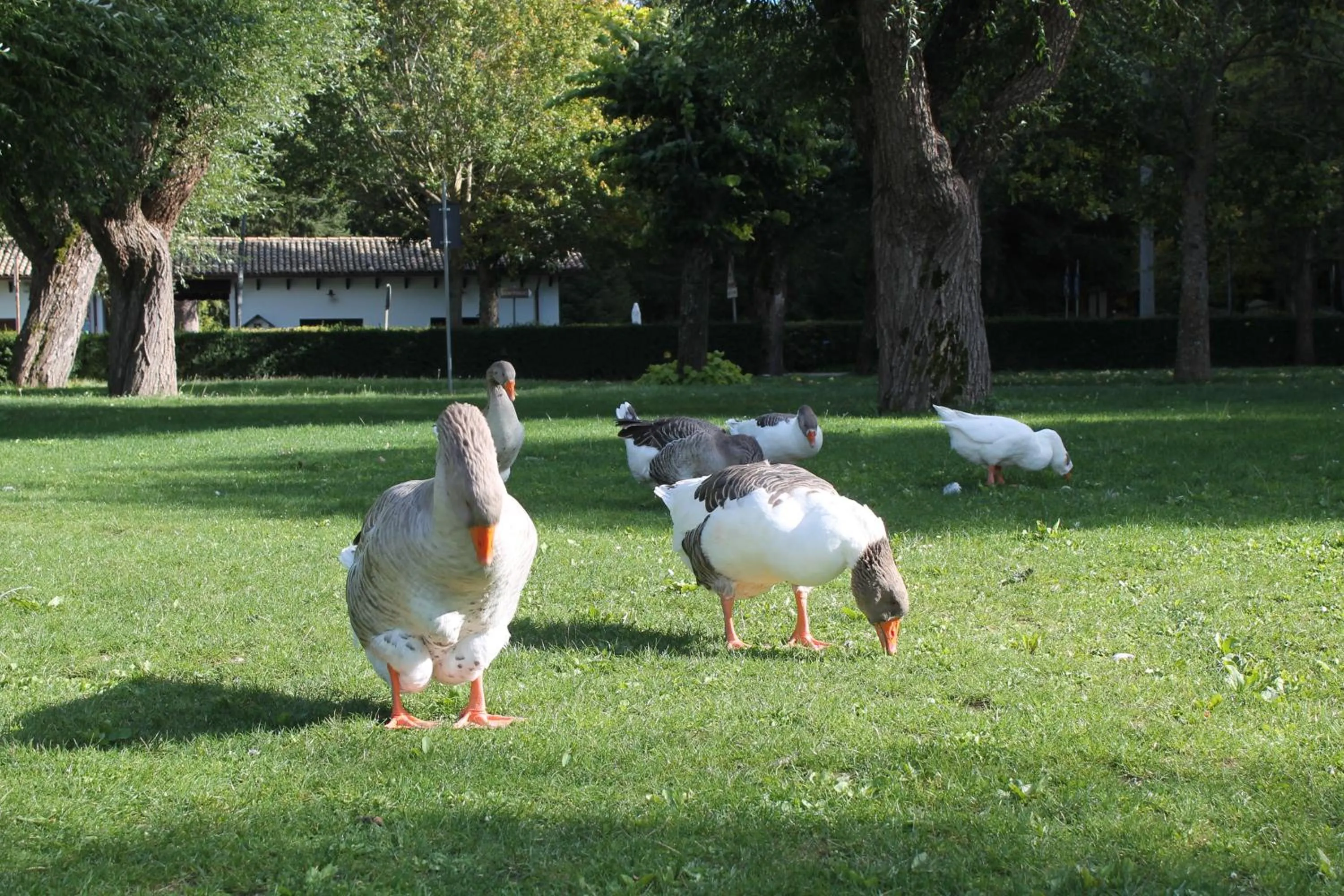 Nearby landmark in FILIPPONE HOTEL&RISTORANTE