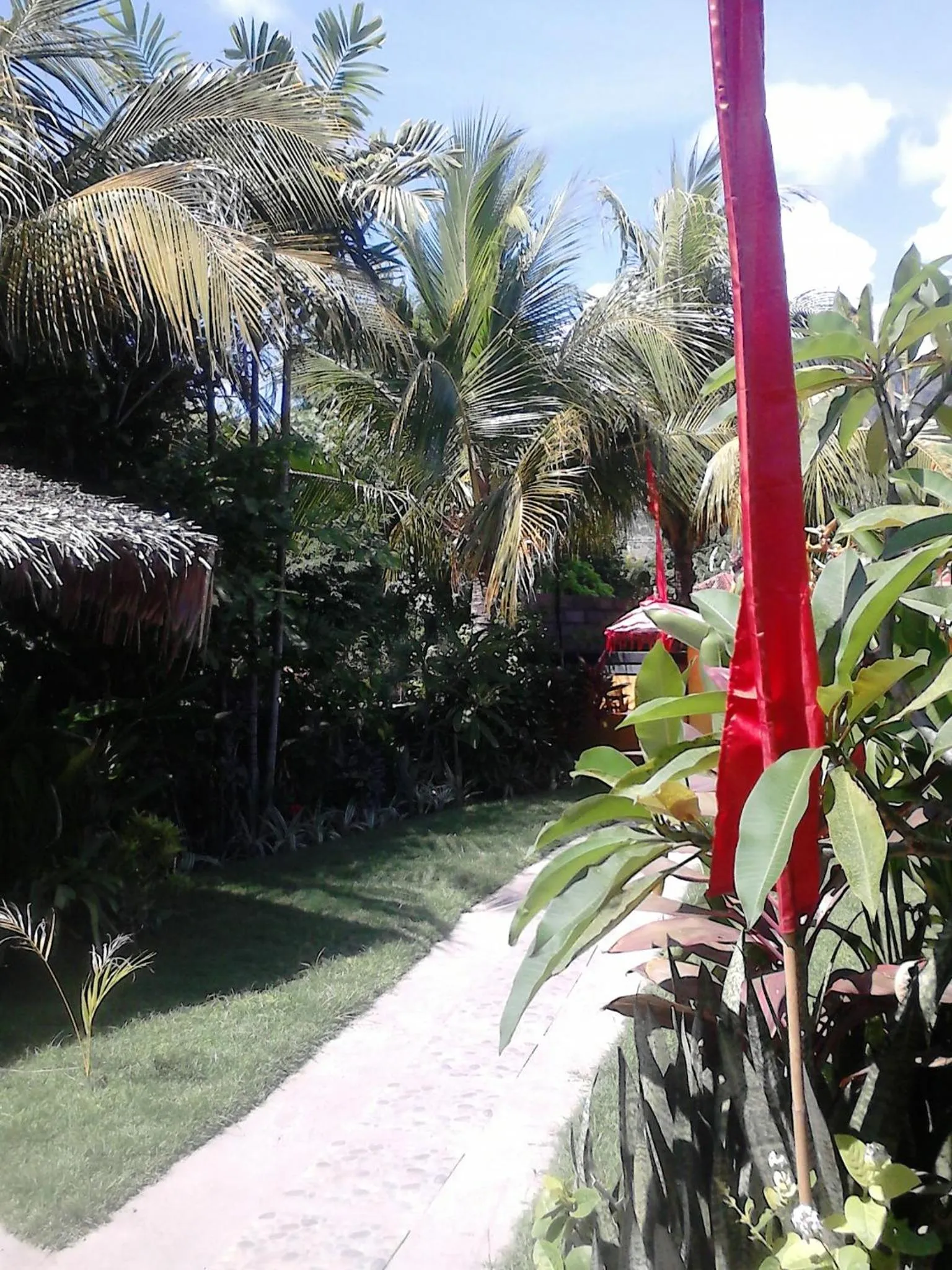 Garden in Pande Guest House