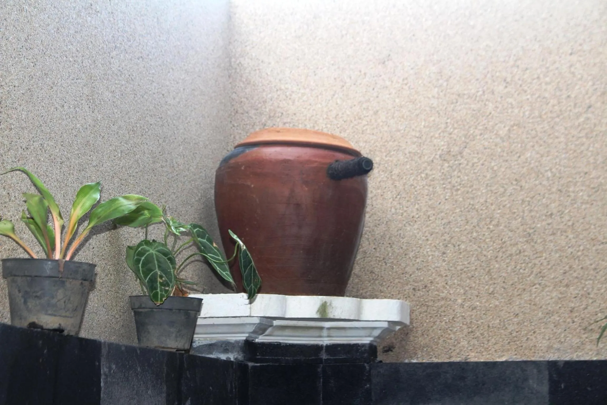 Shower in Pande Guest House