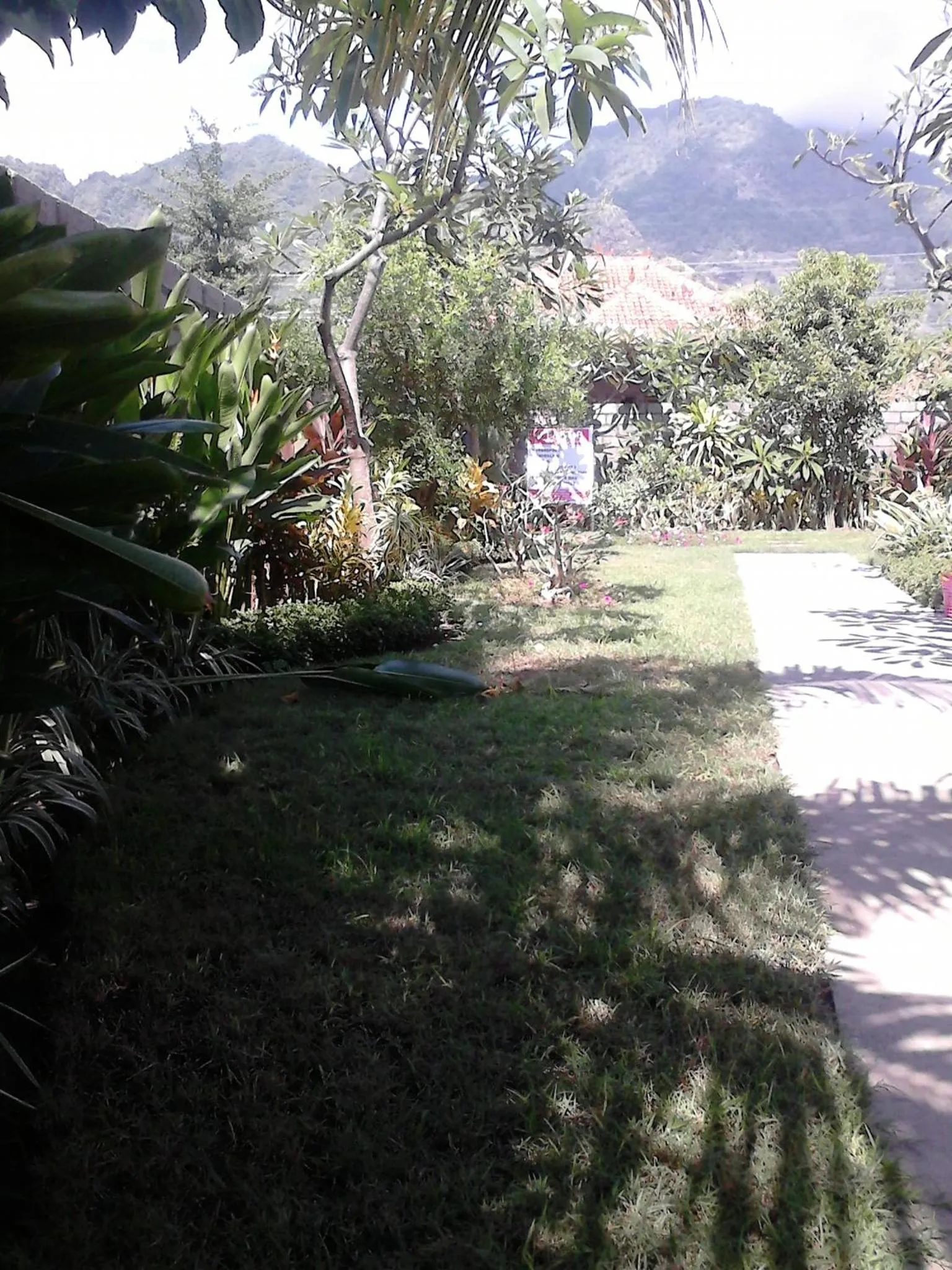 Garden in Pande Guest House