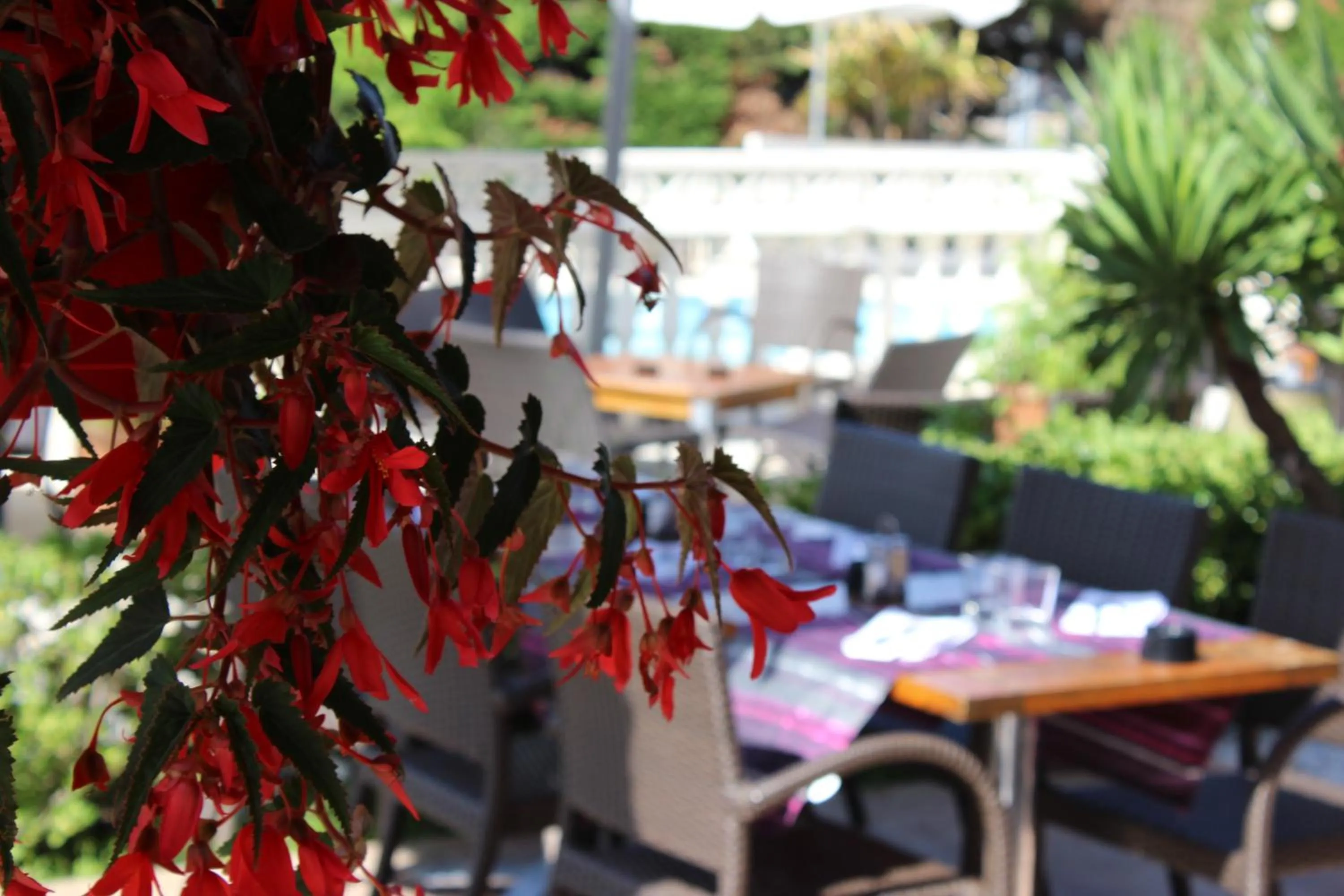 Restaurant/places to eat in Eurotel Parc Expo Airport Montpellier