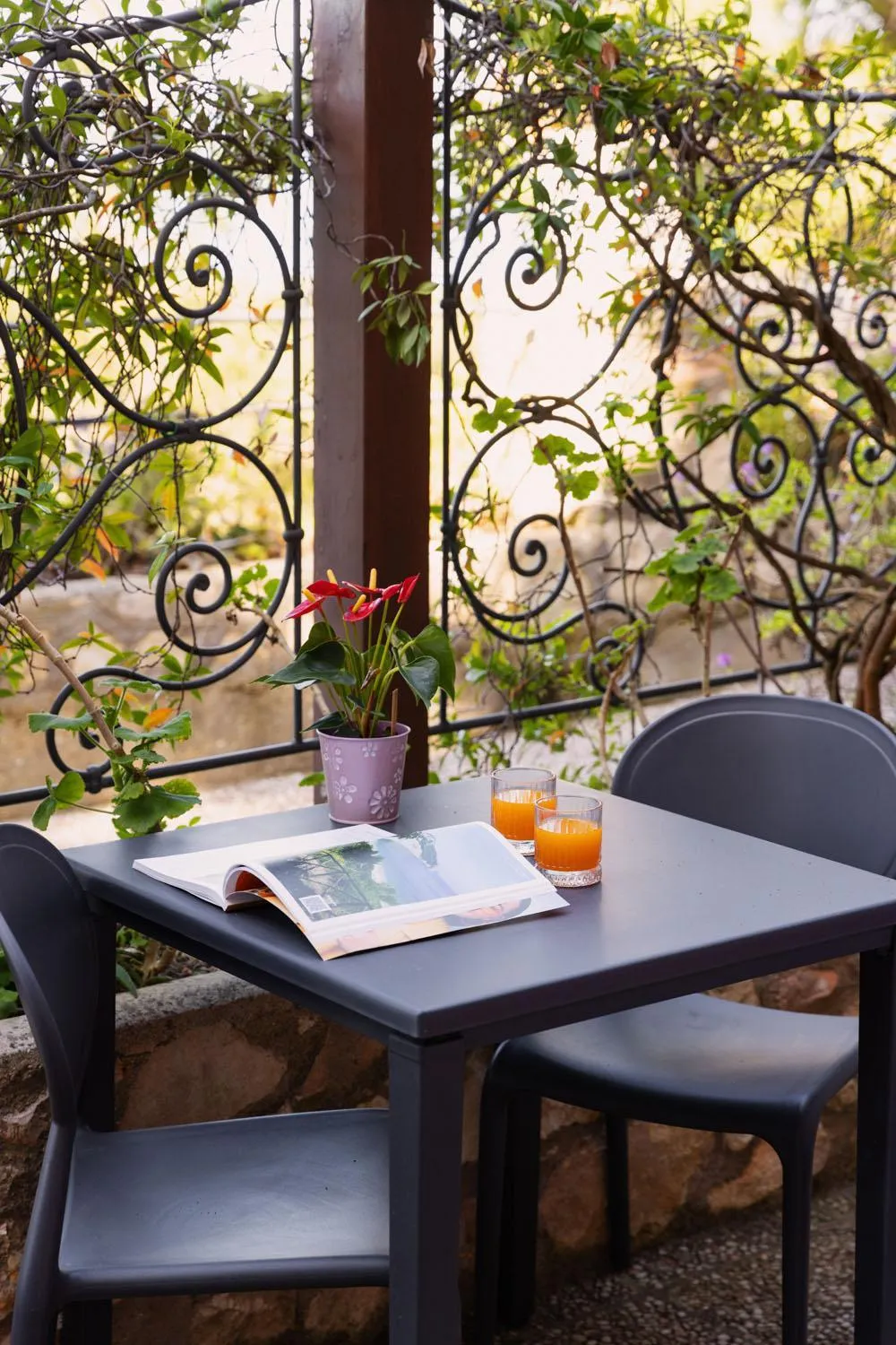 Patio in Hotel Internazionale