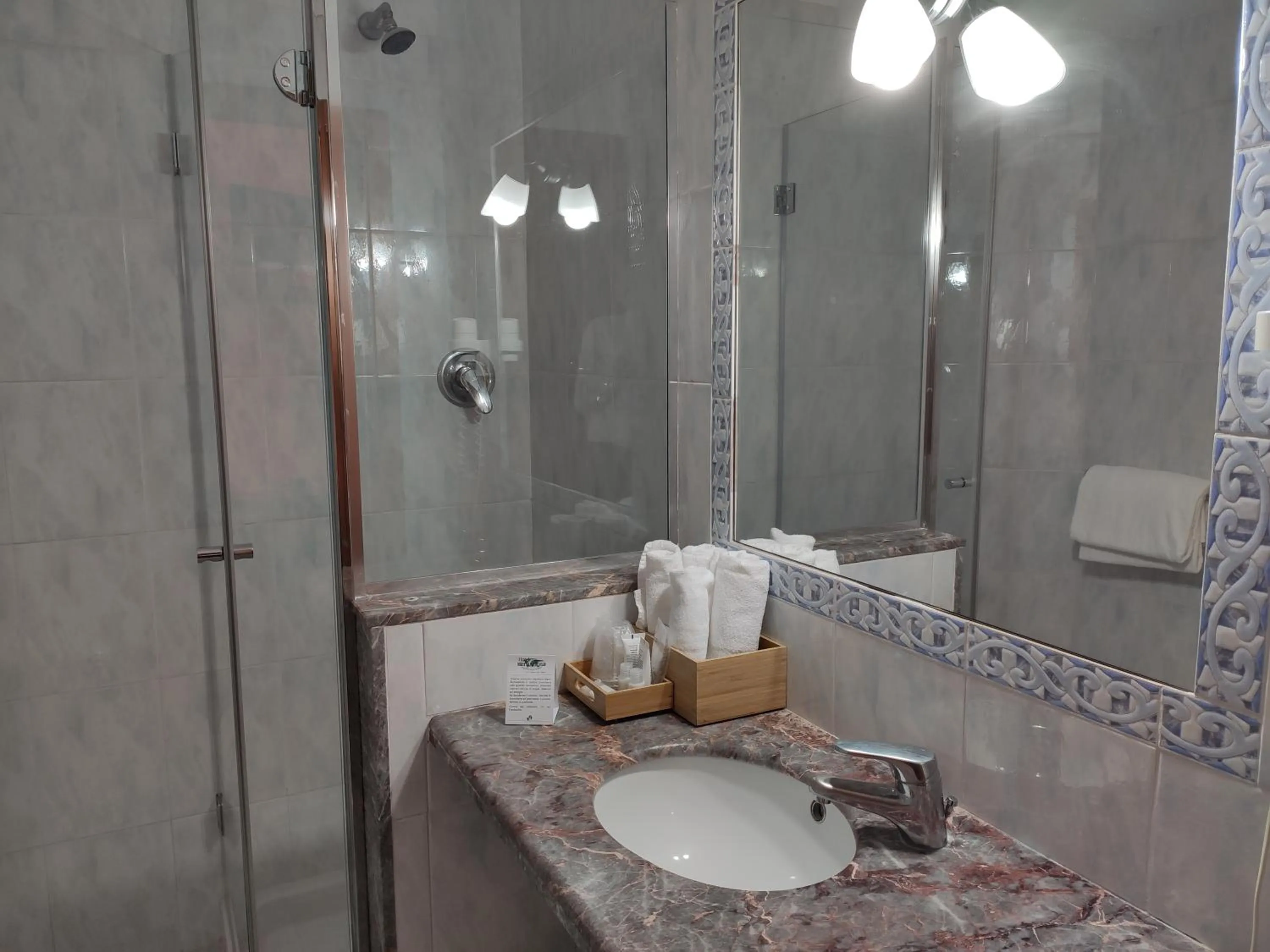 Toilet in Hotel Internazionale