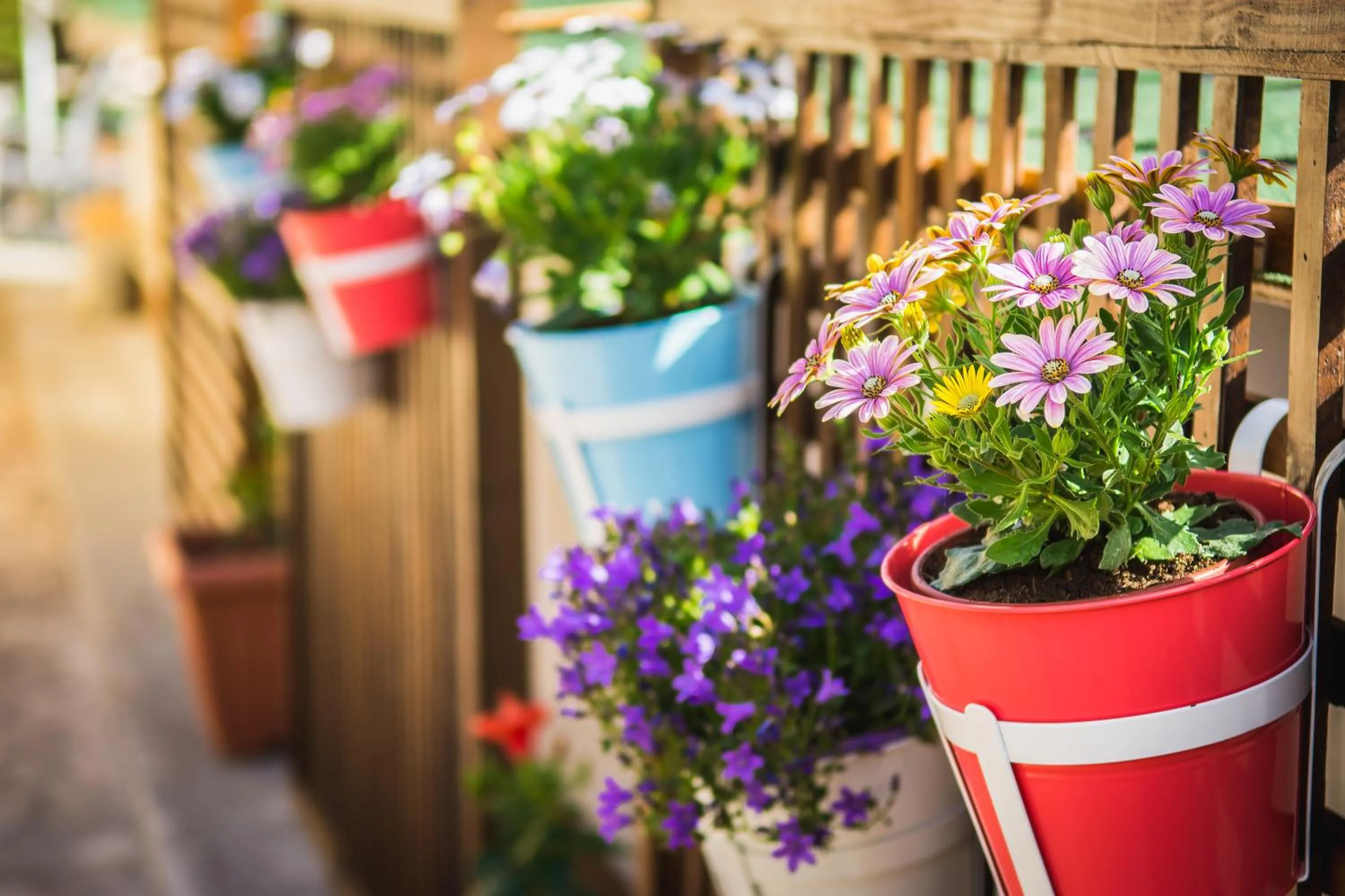 Garden in Ilaeira Mountain Resort