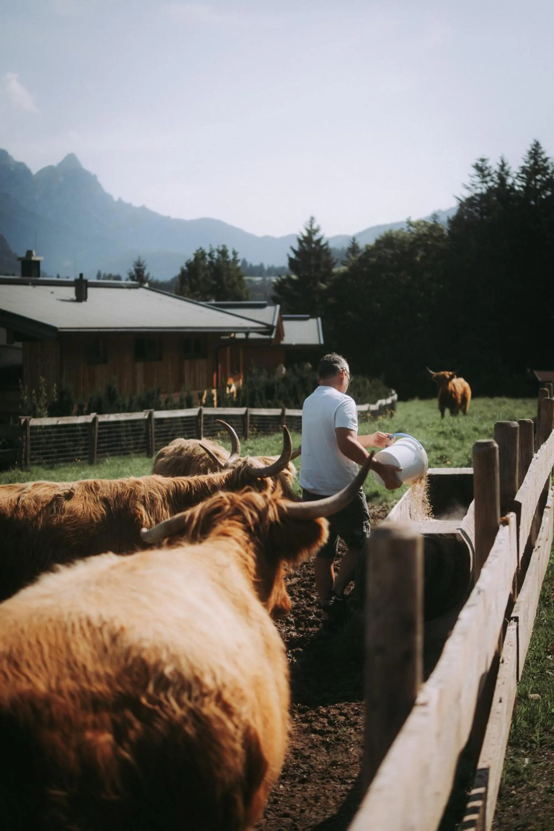 Activities in Farm Hotel Chalet Grosslehen