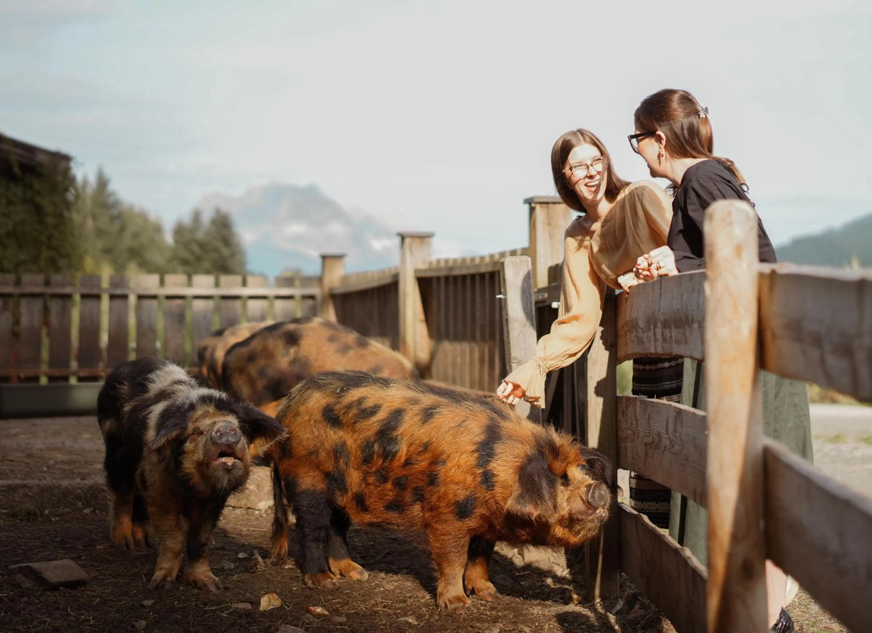 Activities in Farmhotel & Chalets Grosslehen