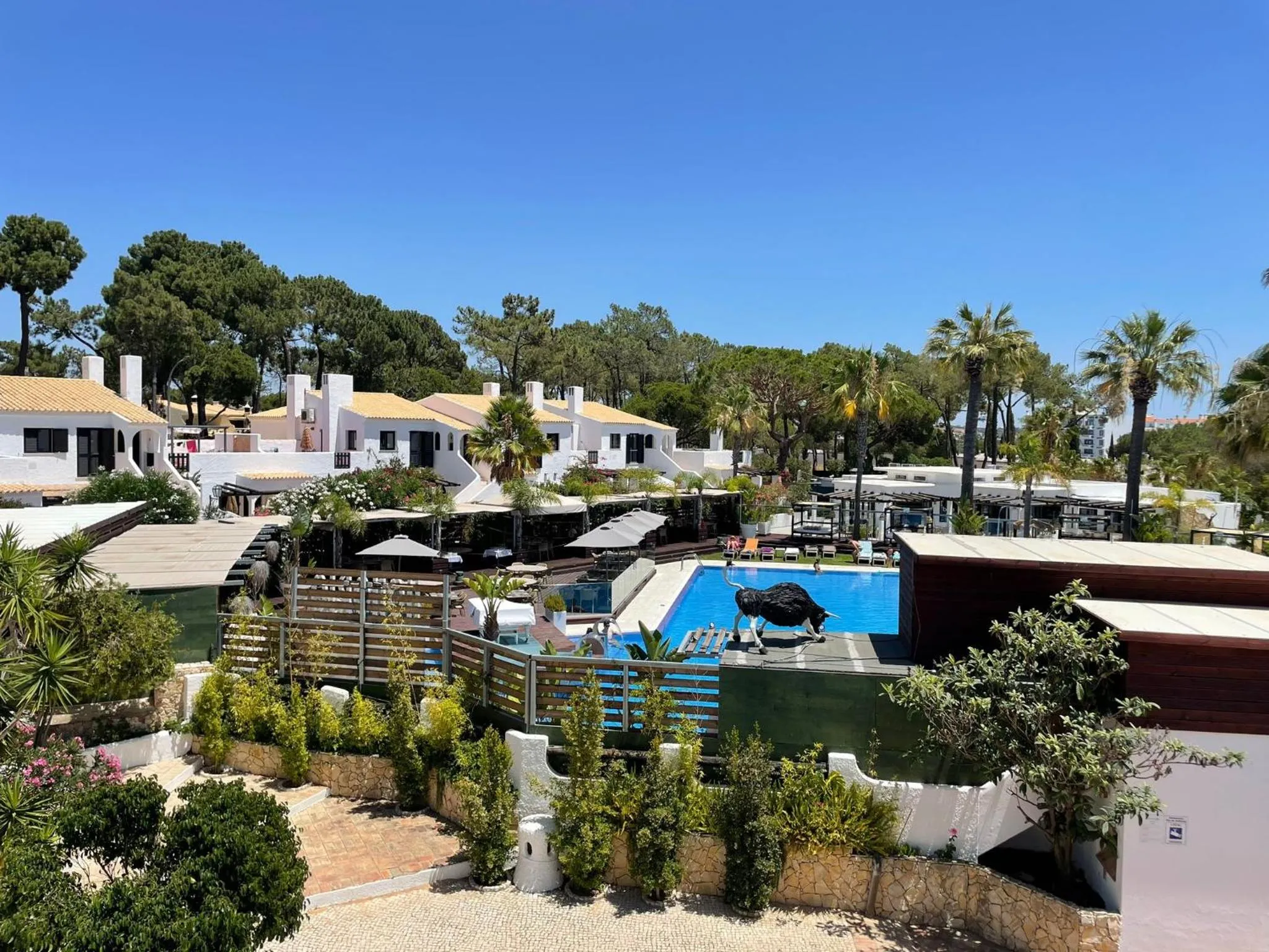 Garden in Apartamentos Honorio - Pool and Garden