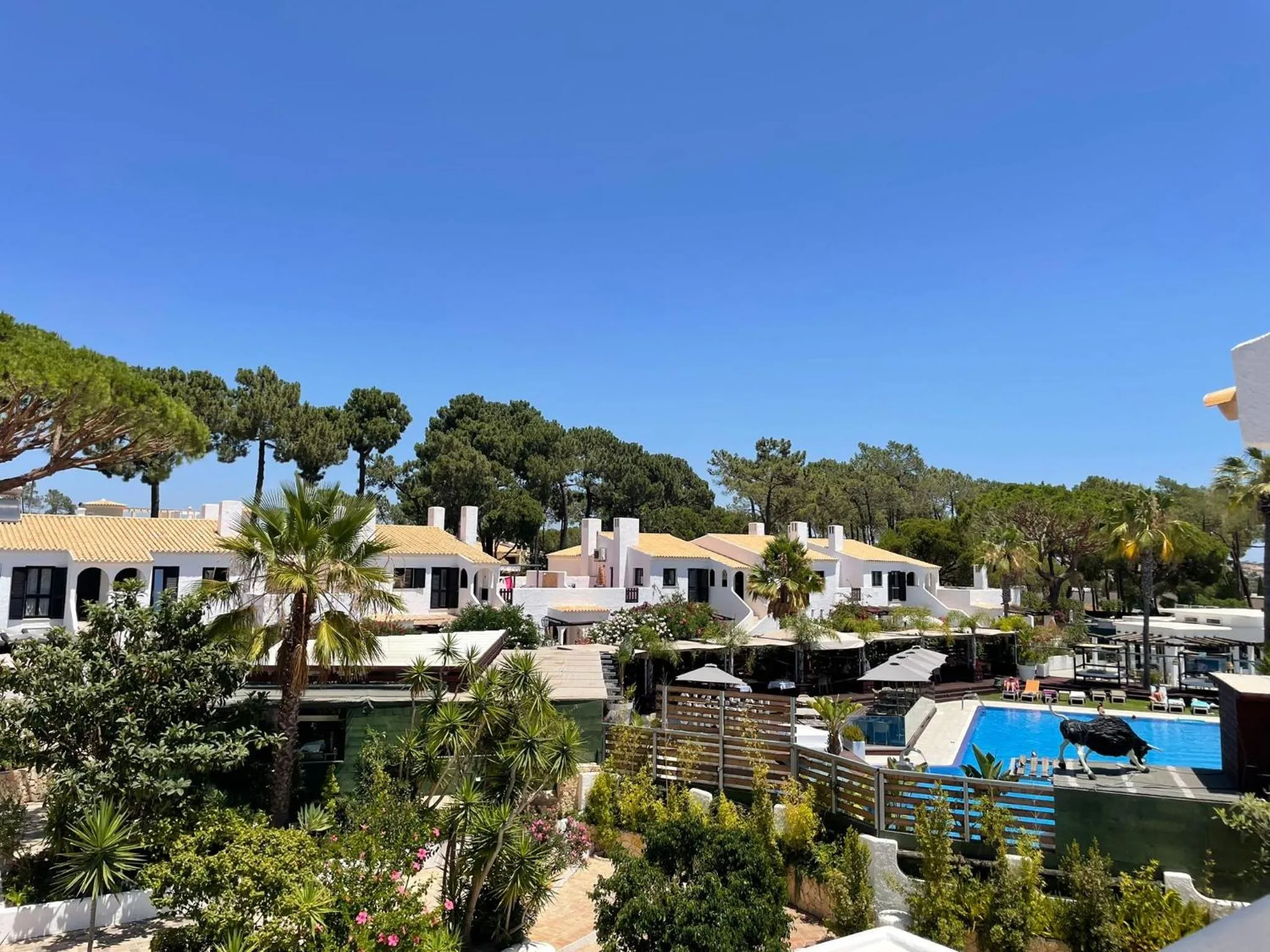 Pool view in Apartamentos Honorio - Pool and Garden