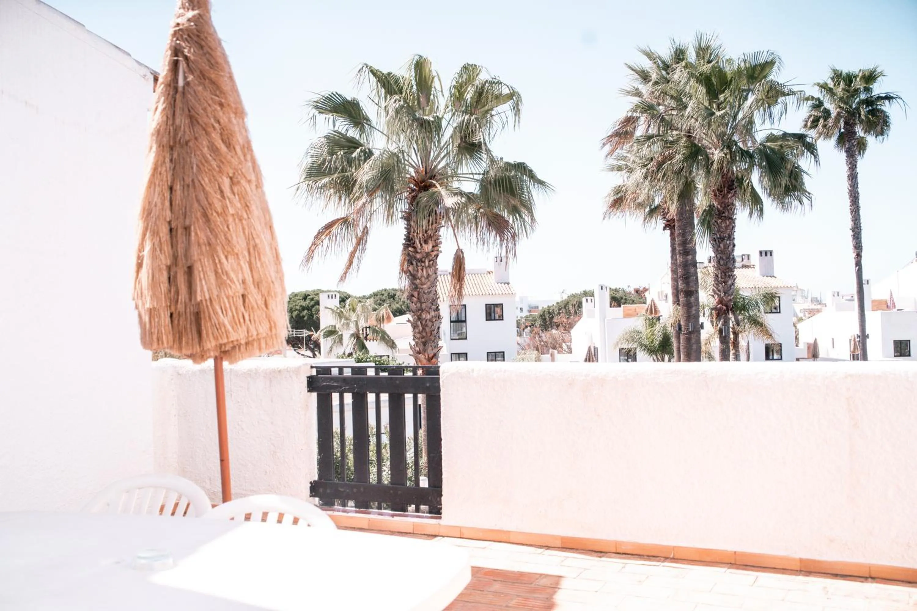 View (from property/room) in Apartamentos Honorio - Pool and Garden