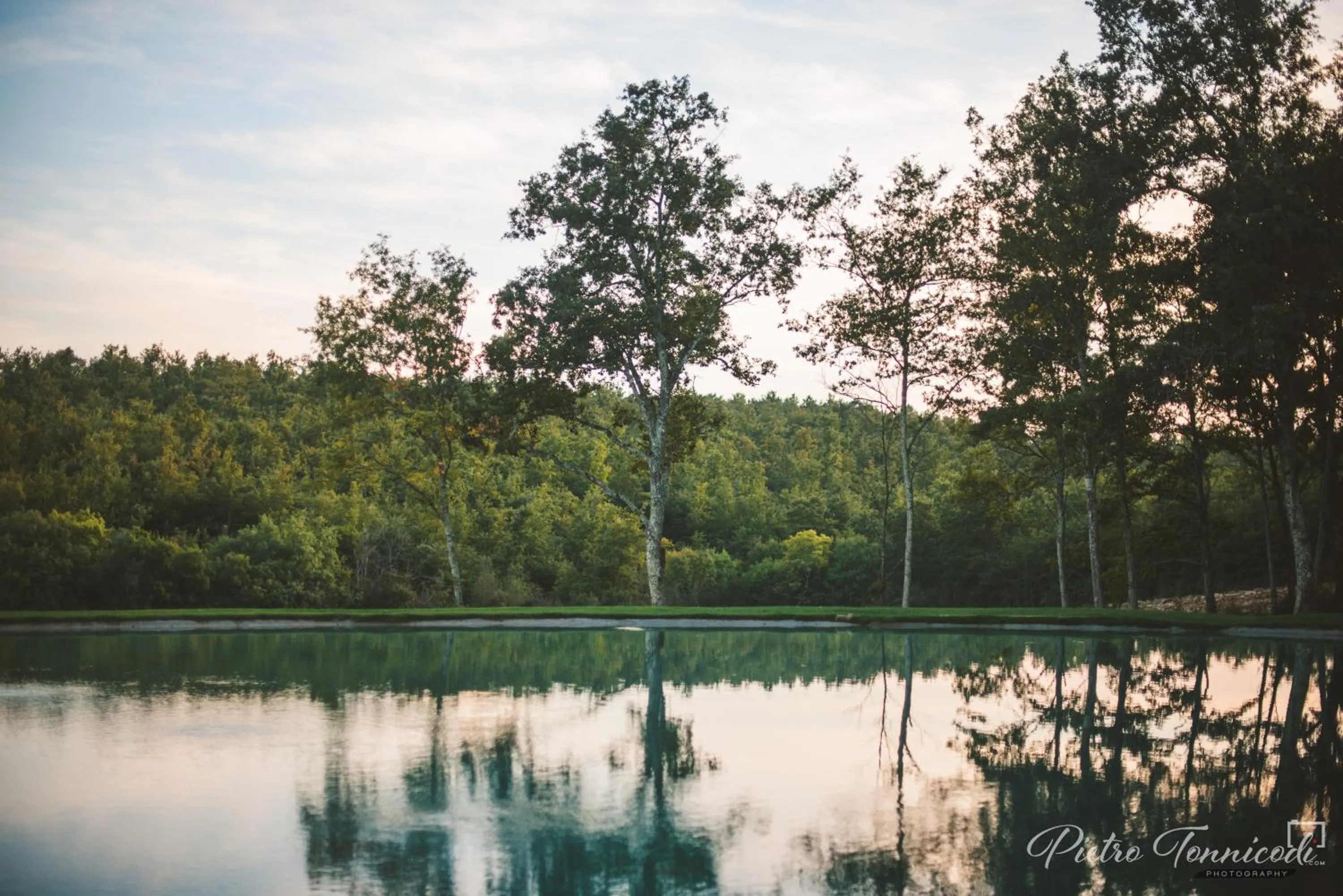 Swimming pool in Casale San Galgano