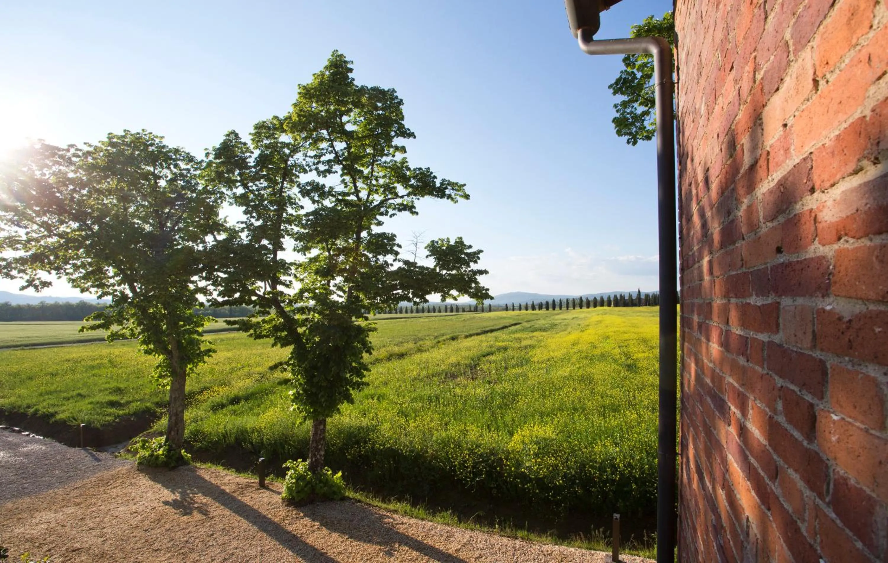 Landmark view in Casale San Galgano