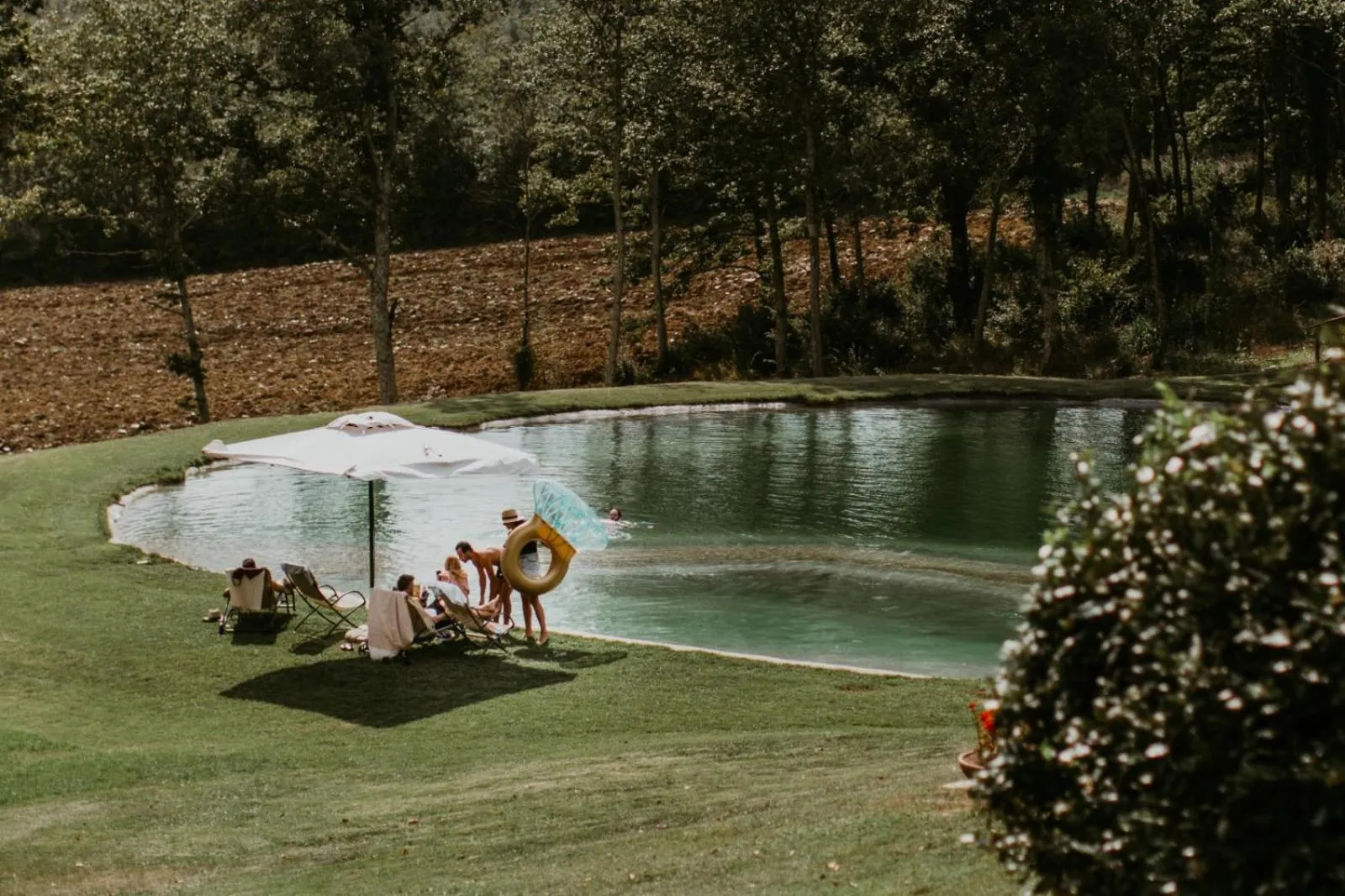 Swimming pool in Casale San Galgano