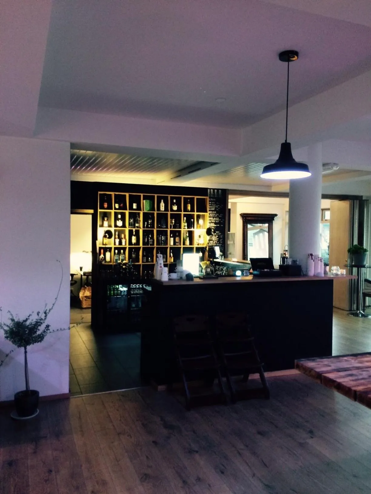 Restaurant/places to eat in Fugl Fønix Hotel