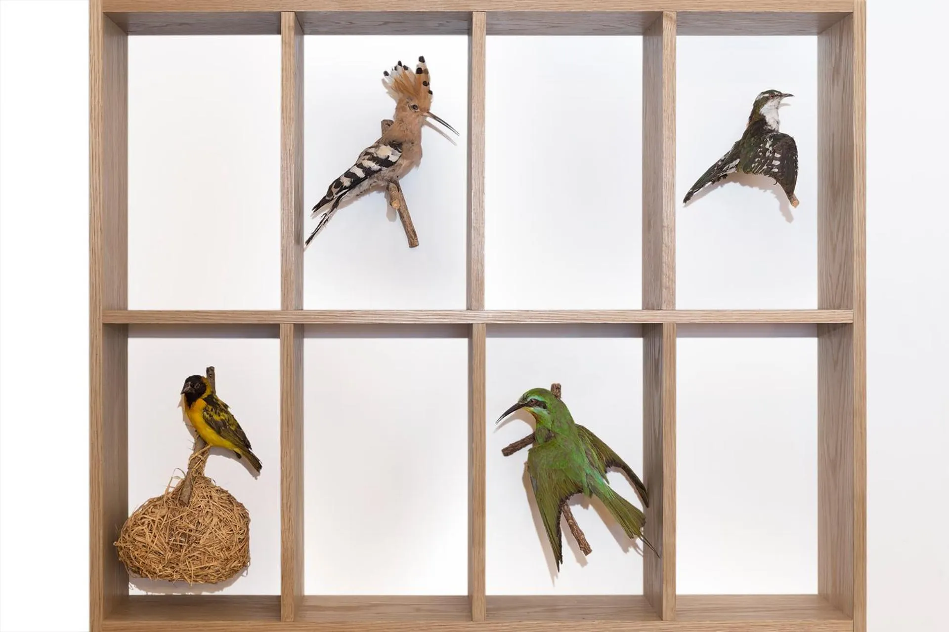 Other in Fugl Fønix Hotel