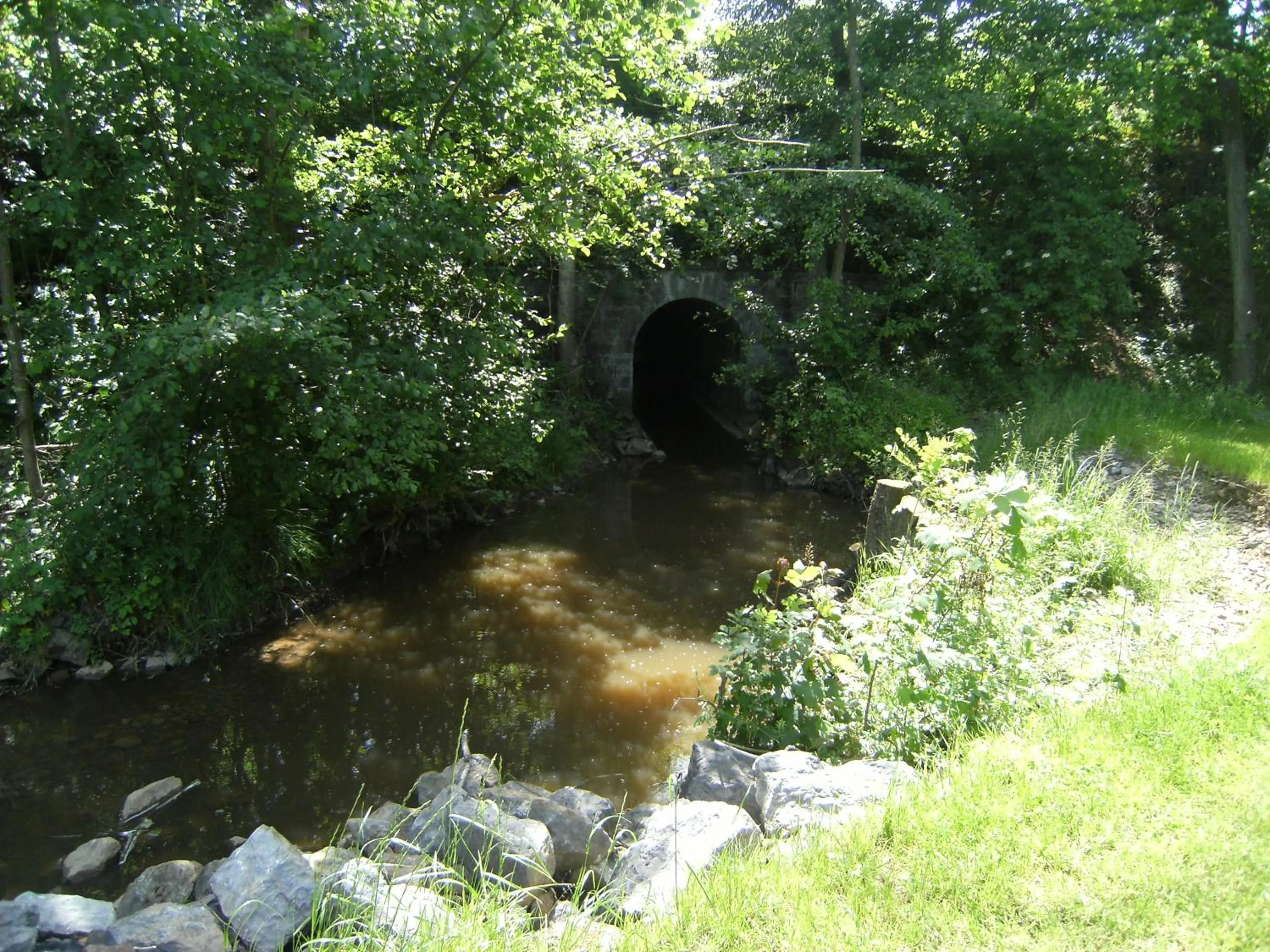 Clos Du Ry De Snaye