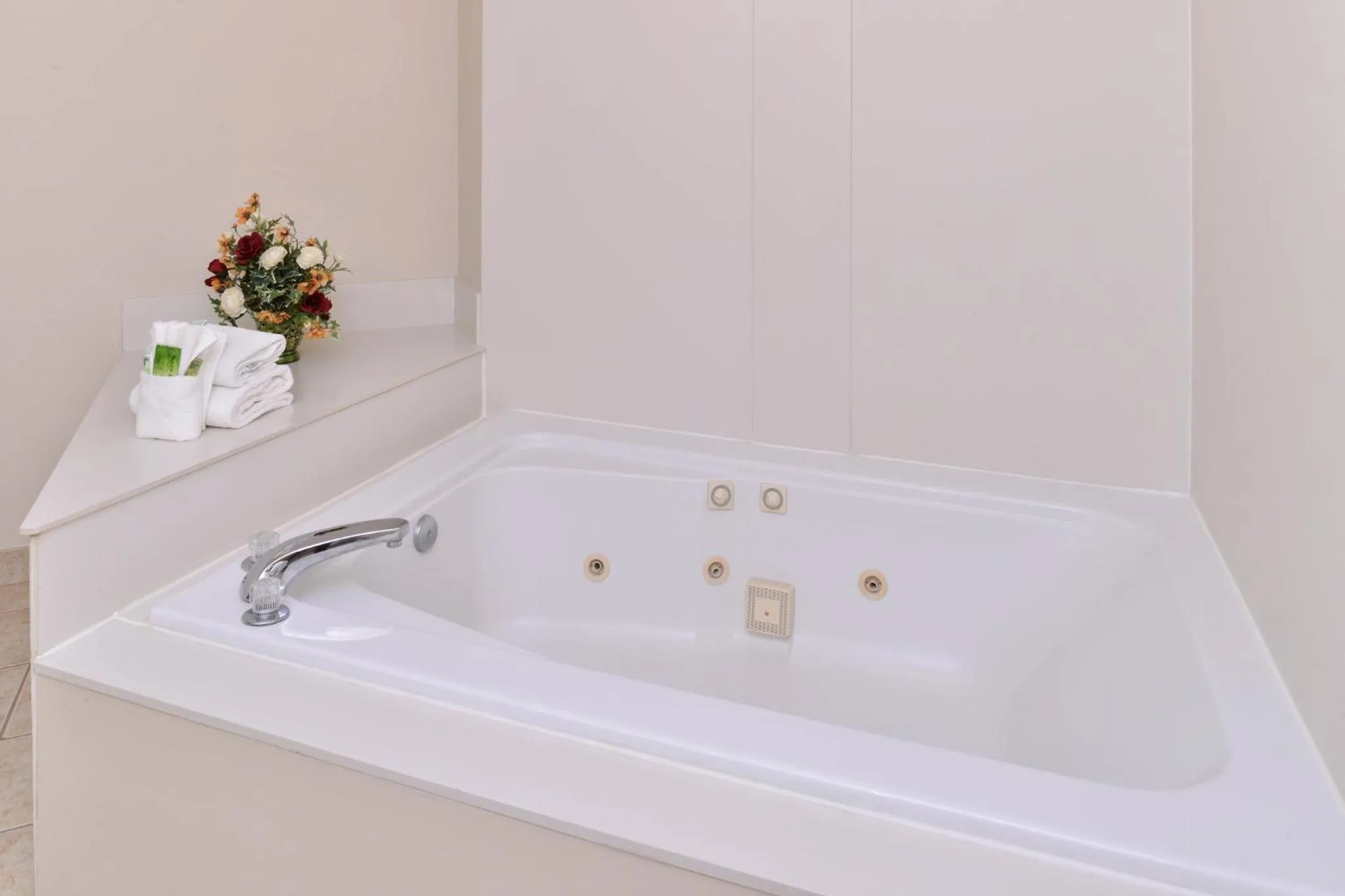 Bathroom in Holiday Inn Express Hotel & Suites Madison by IHG