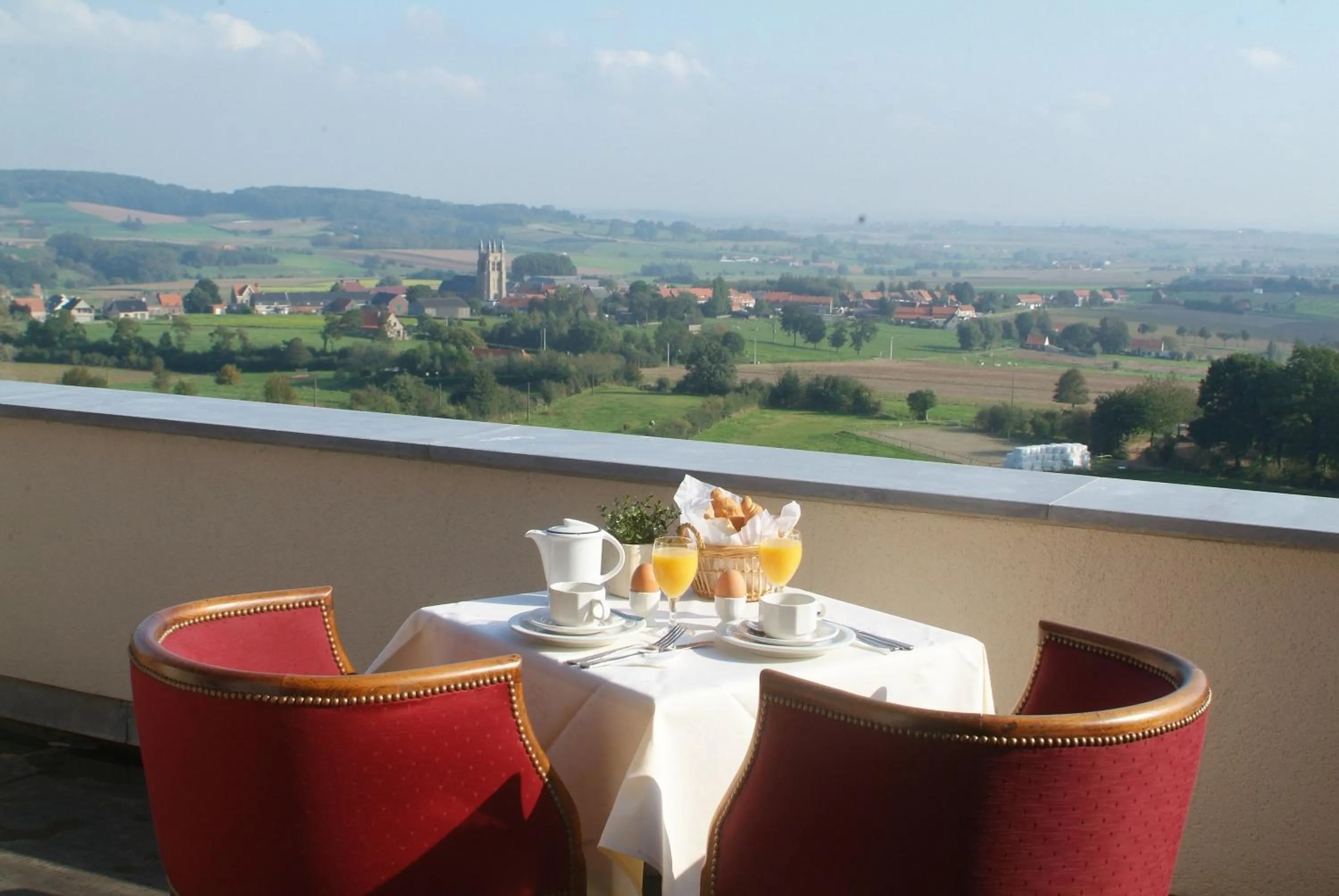 Balcony/Terrace in Hotel Belvedere