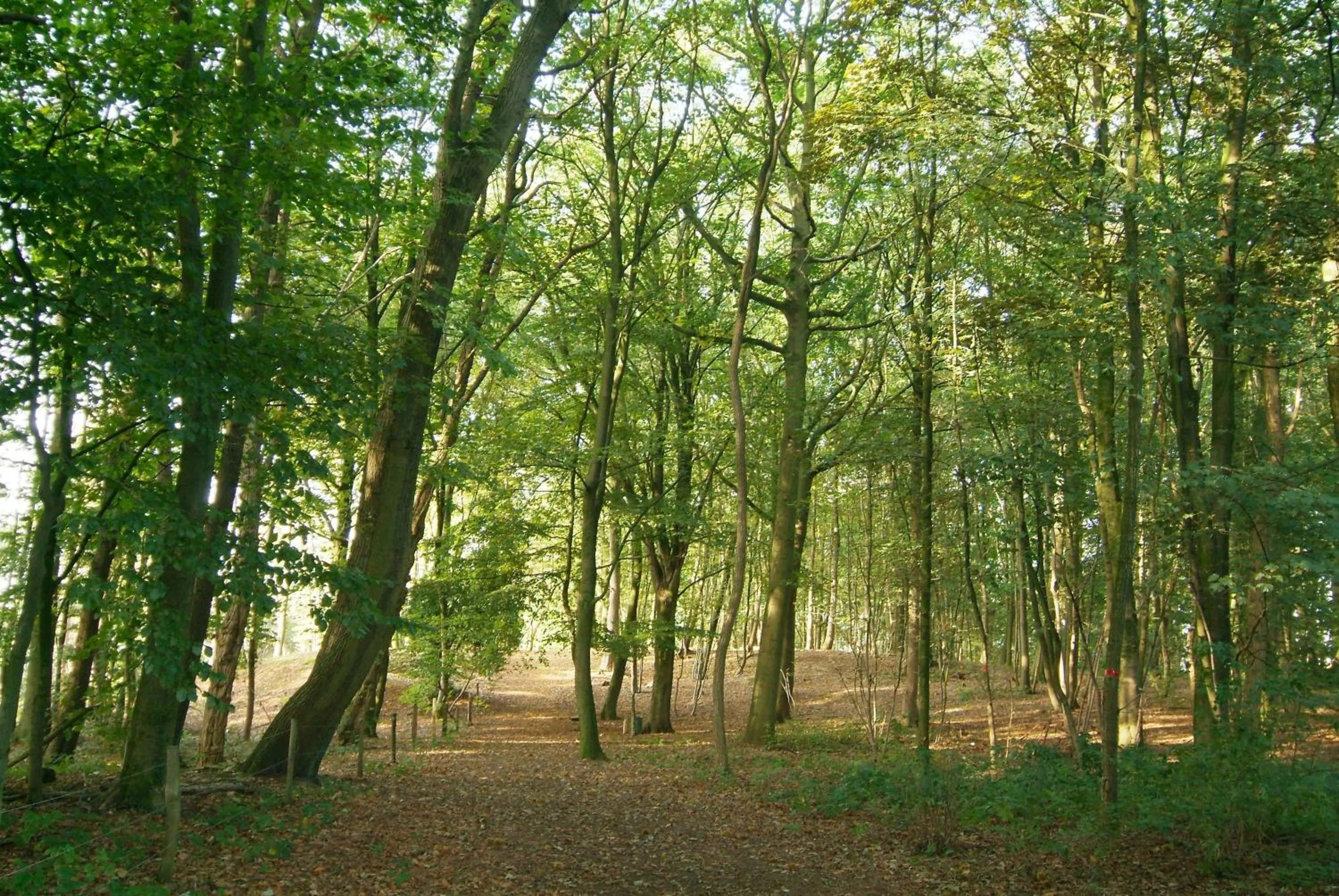 Area and facilities in Hotel Belvedere