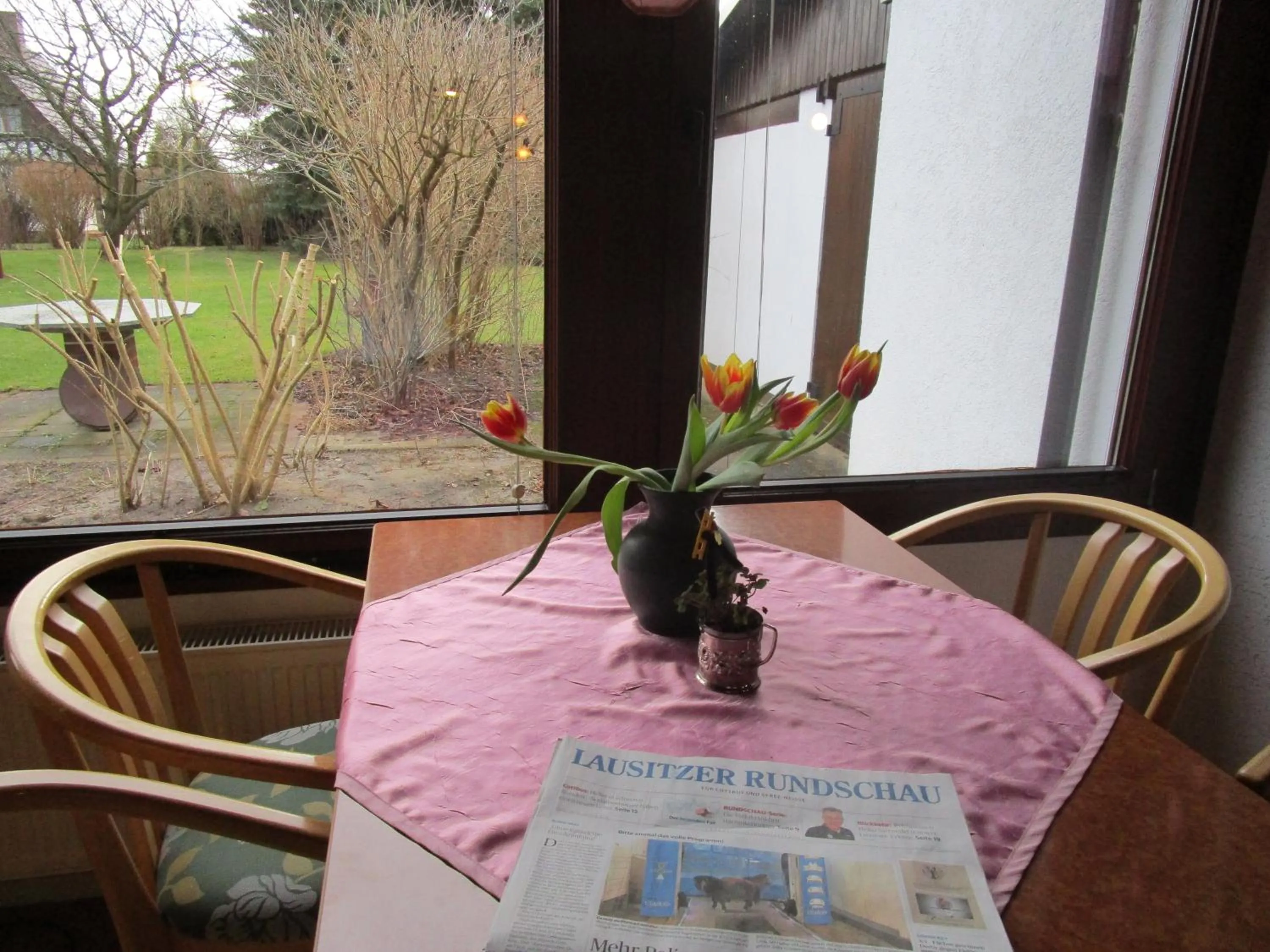 Garden view in Pension Willischza