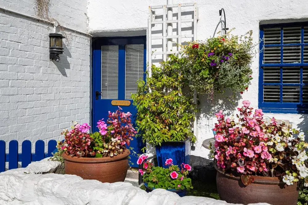 Suite in Cary Arms & Spa Suite in Cary Arms & Spa