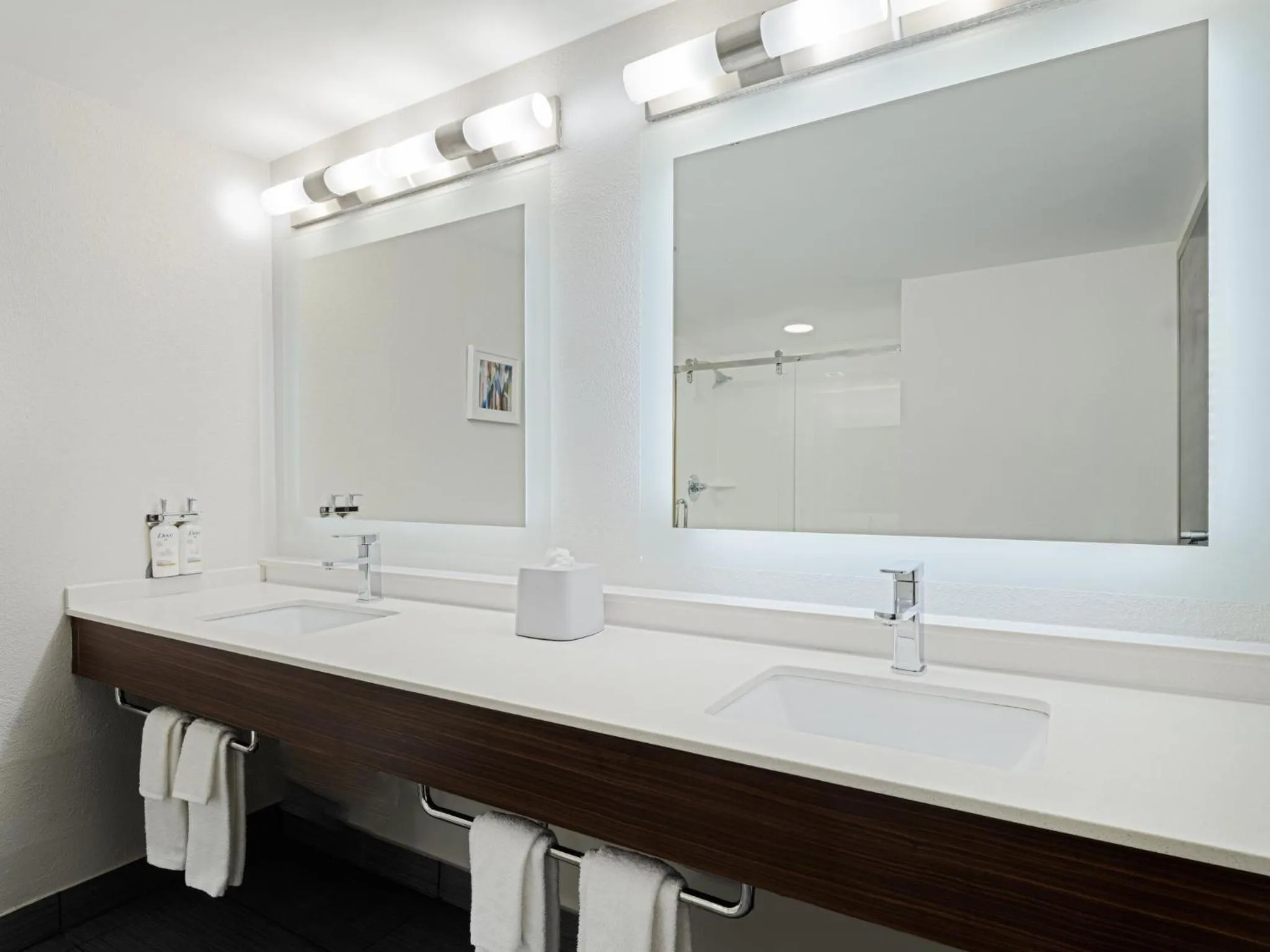 Bathroom in Holiday Inn Express & Suites Augusta West - Ft Gordon Area by IHG