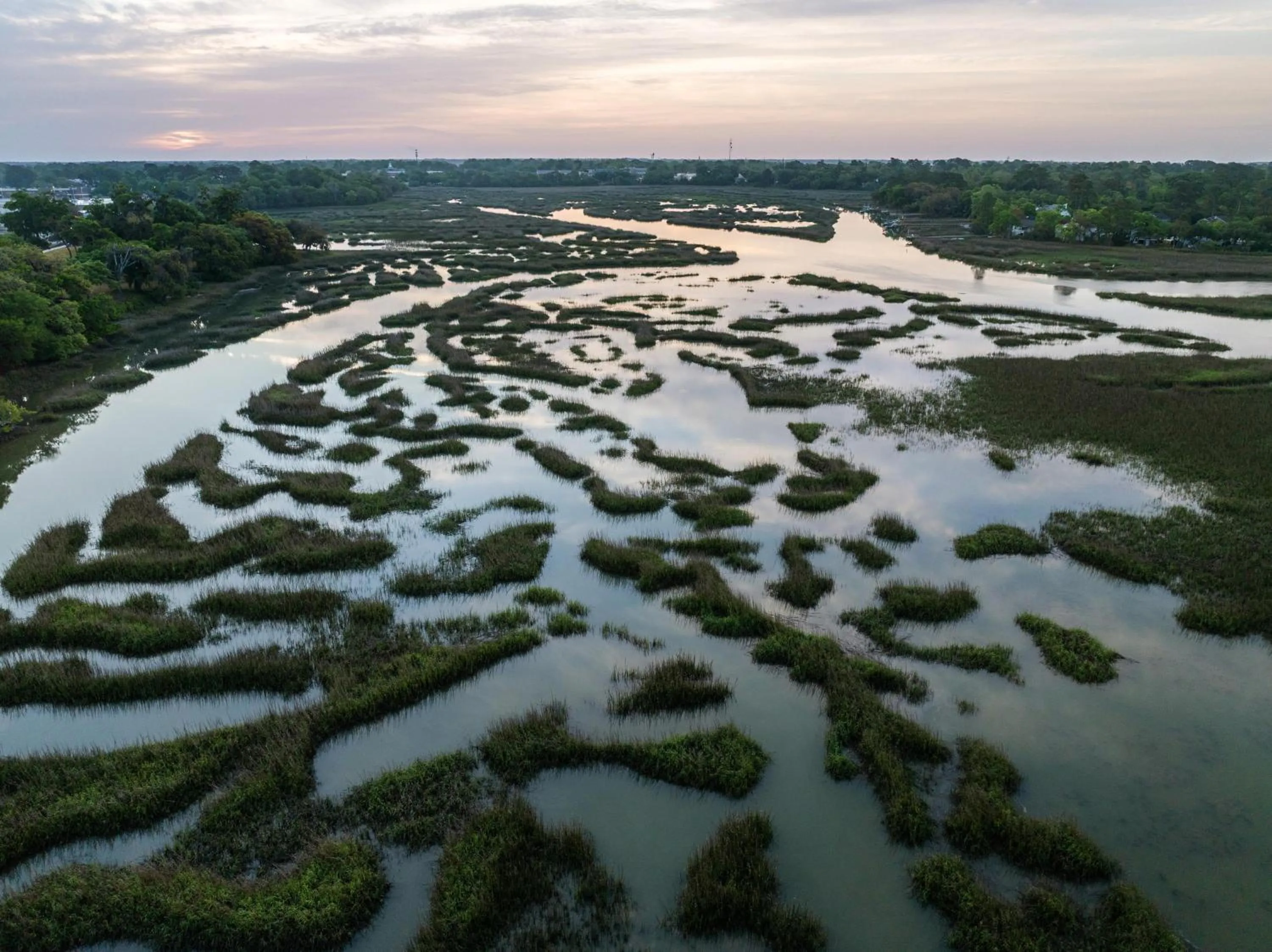 Hampton Inn Beaufort