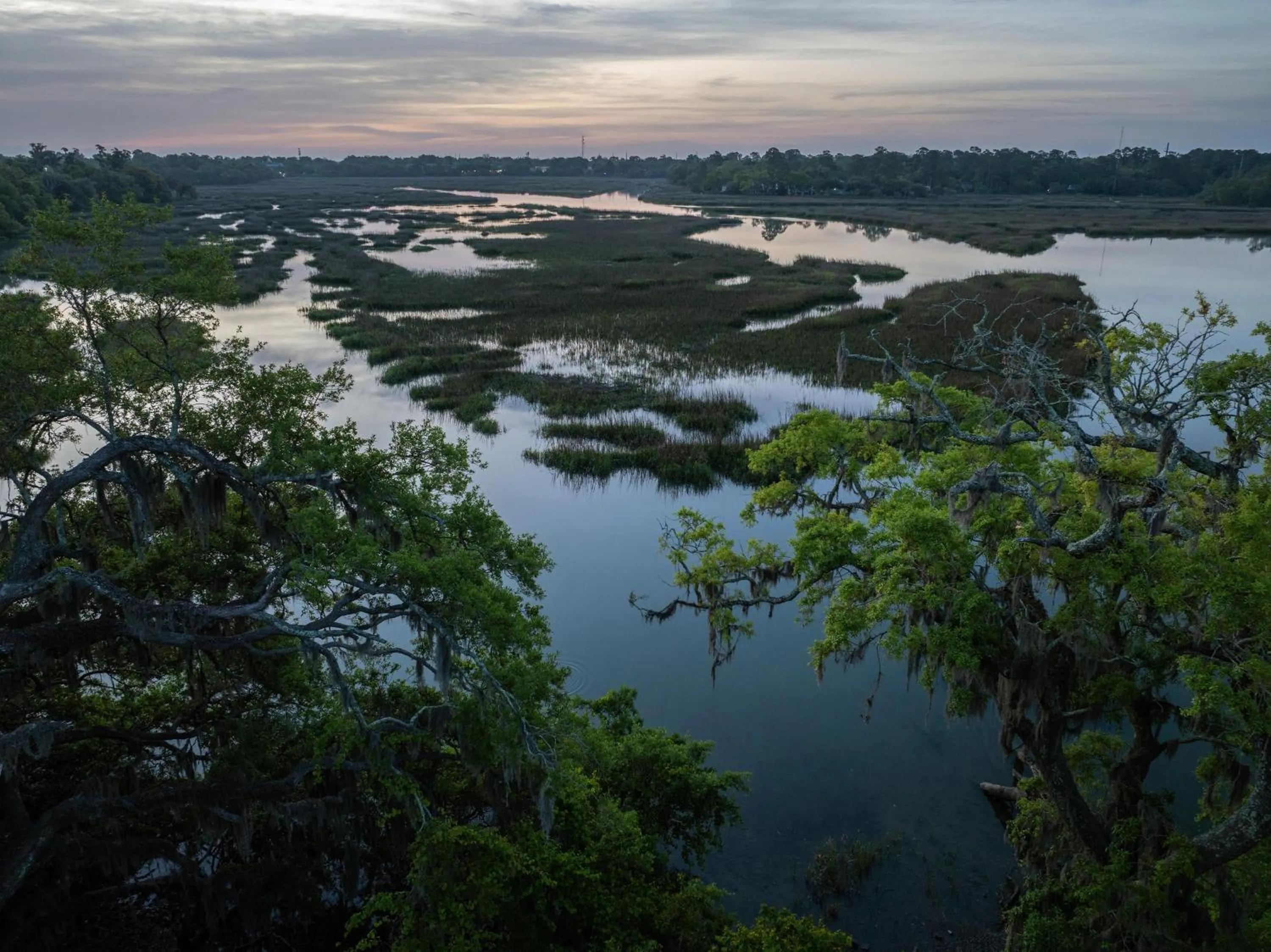 Hampton Inn Beaufort