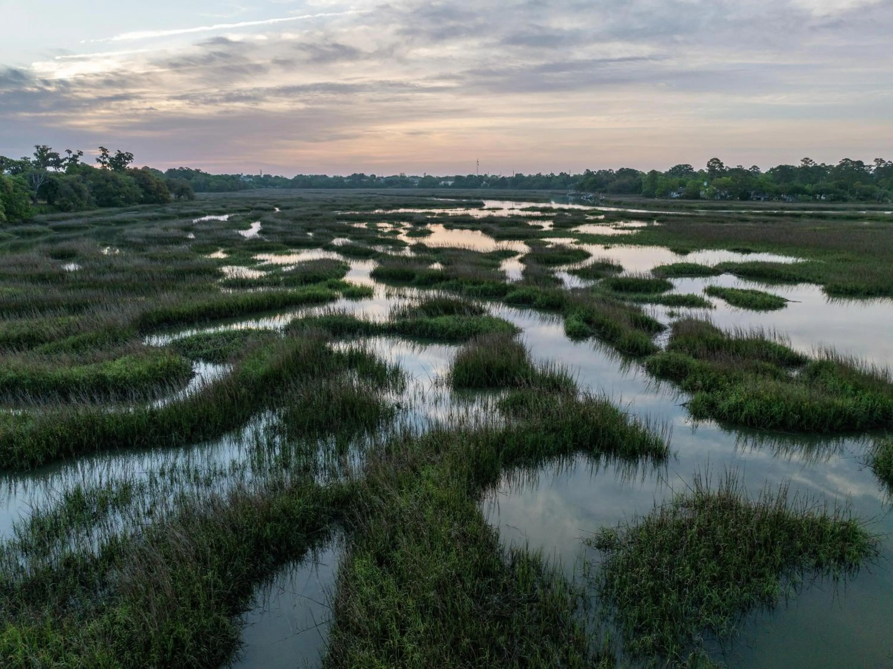 Hampton Inn Beaufort