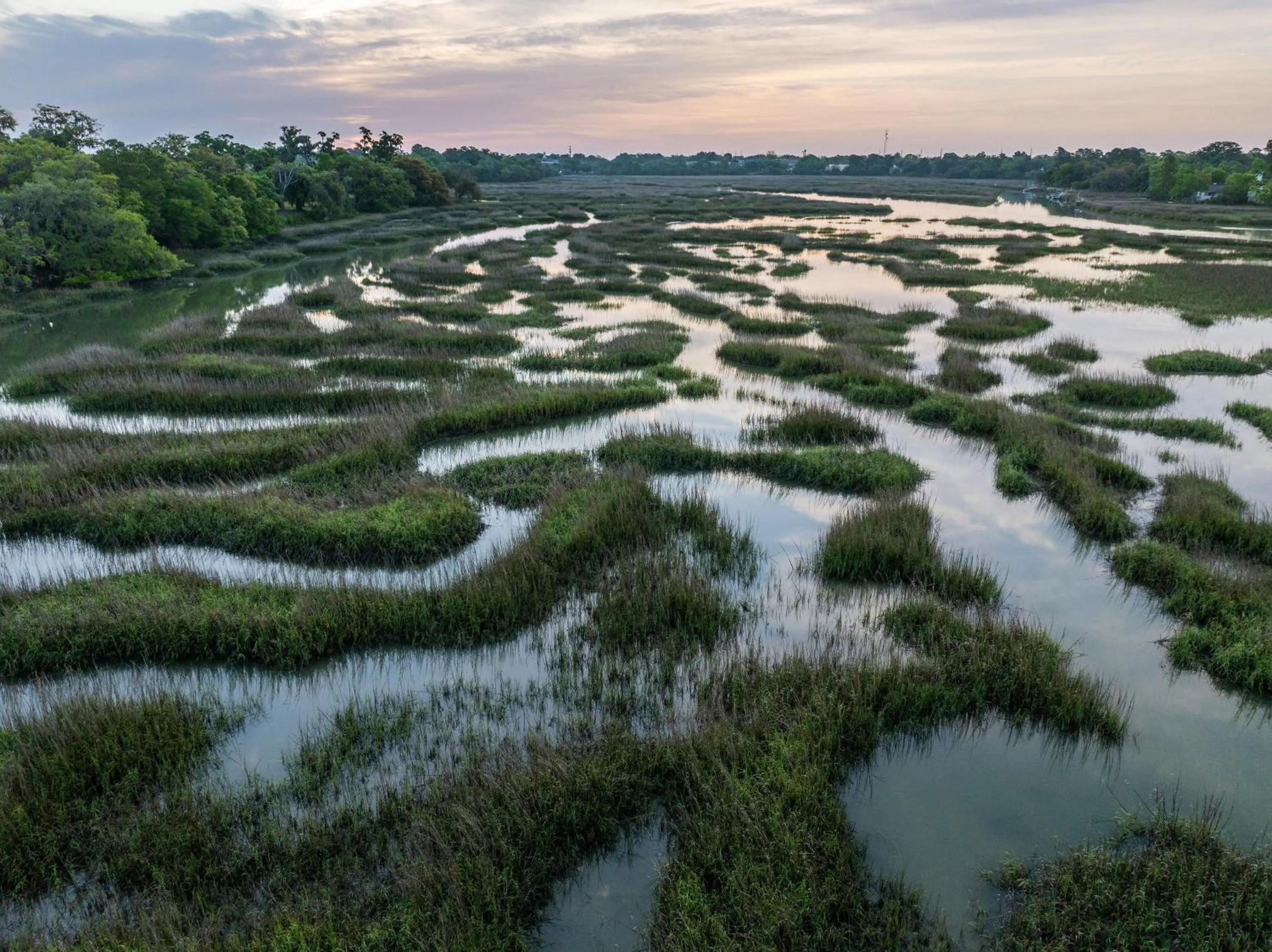 Hampton Inn Beaufort