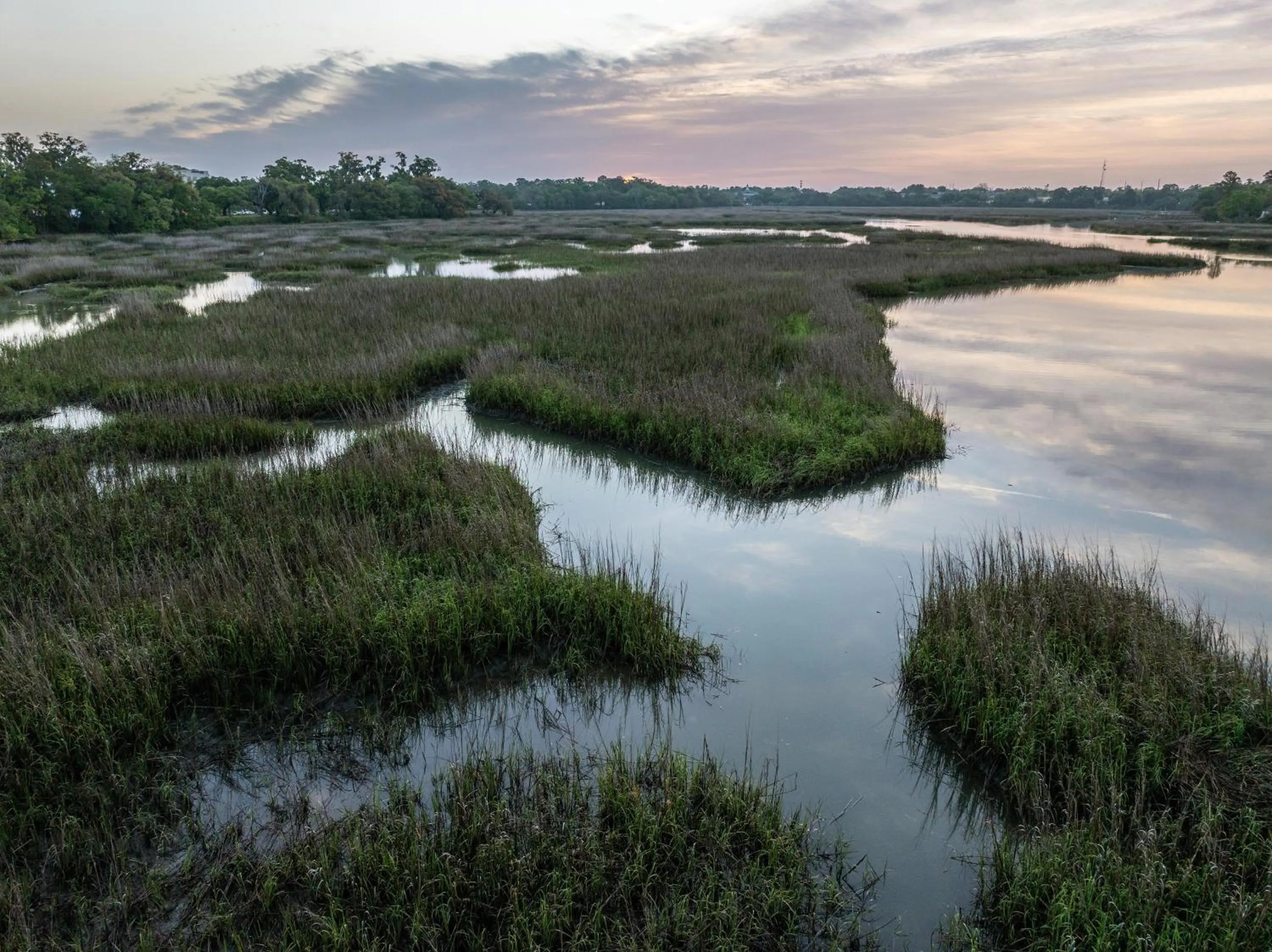 Hampton Inn Beaufort