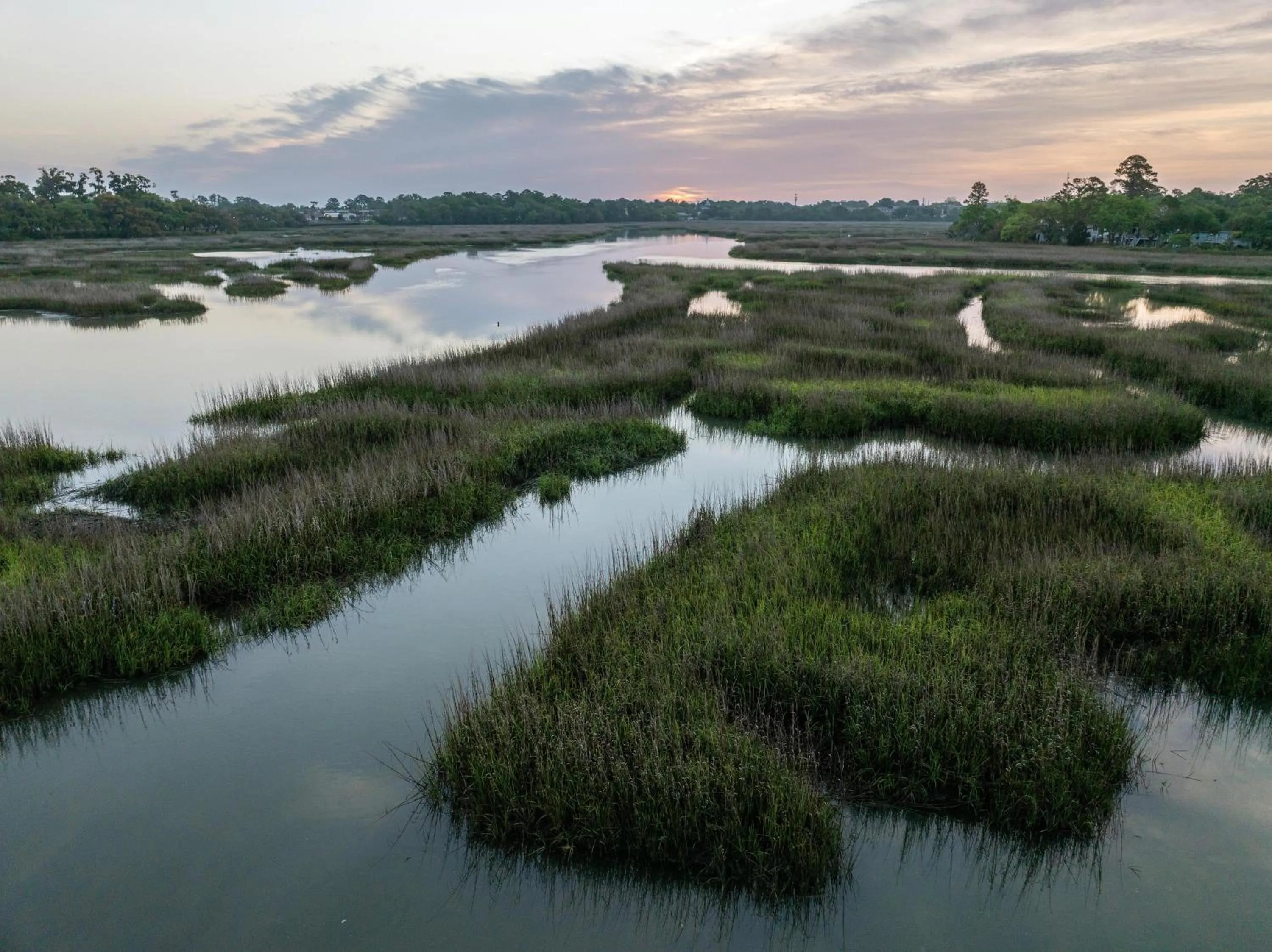 Hampton Inn Beaufort