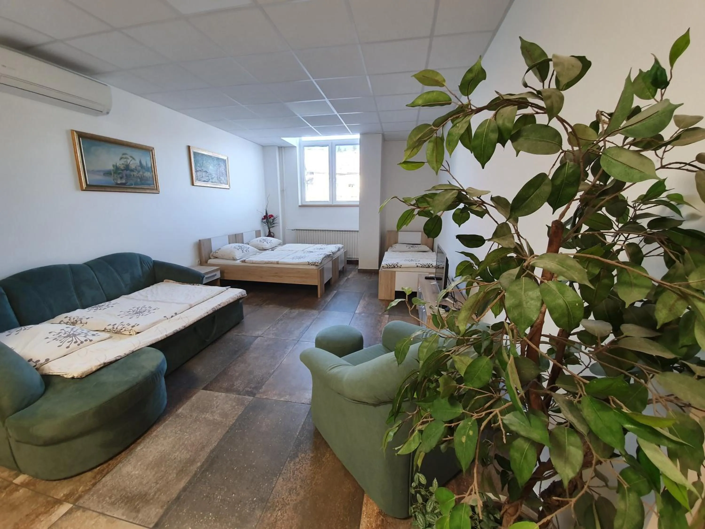 Studio in Hostel Novak