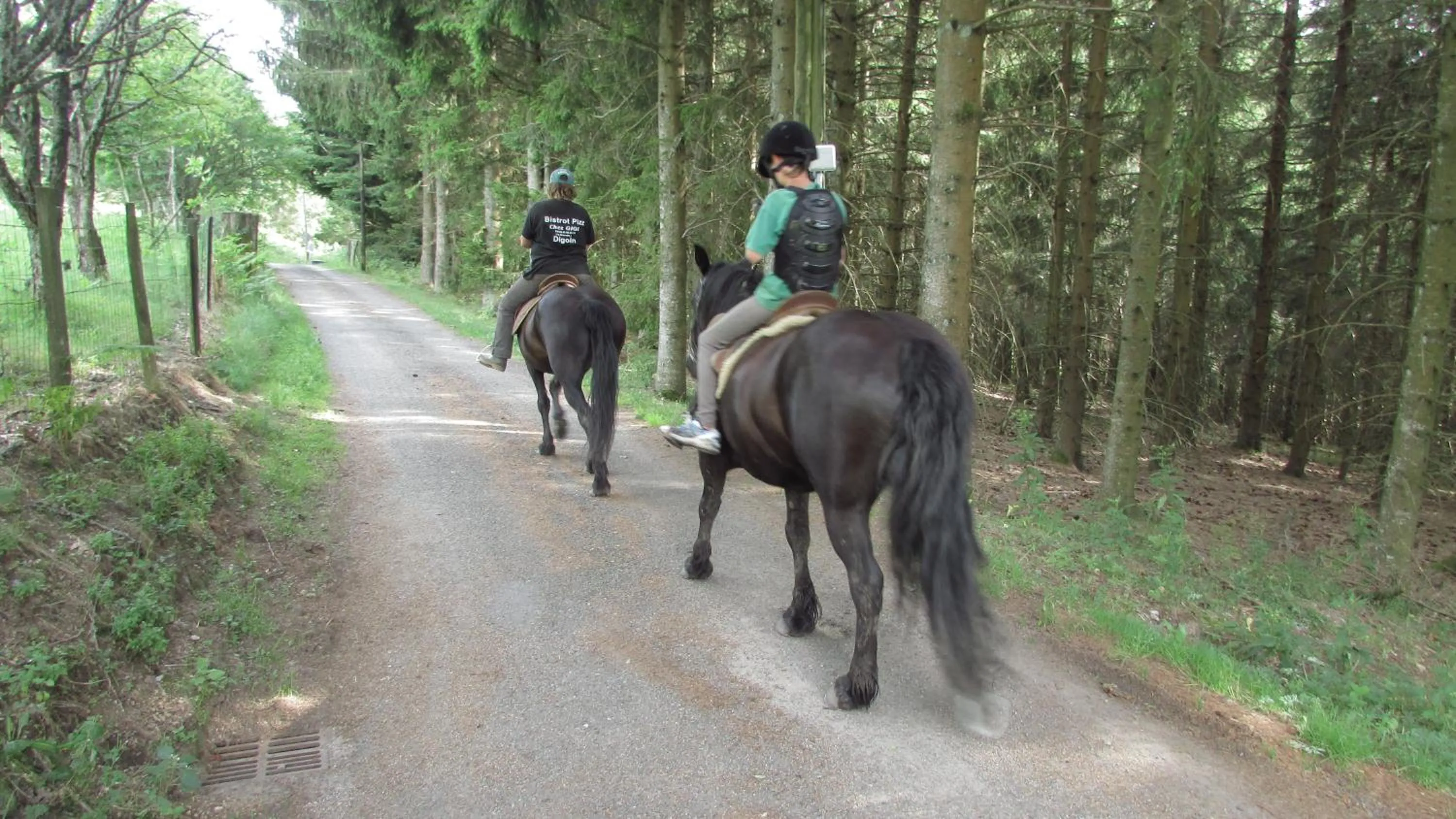 Horse-riding in B&B Les Paddocks
