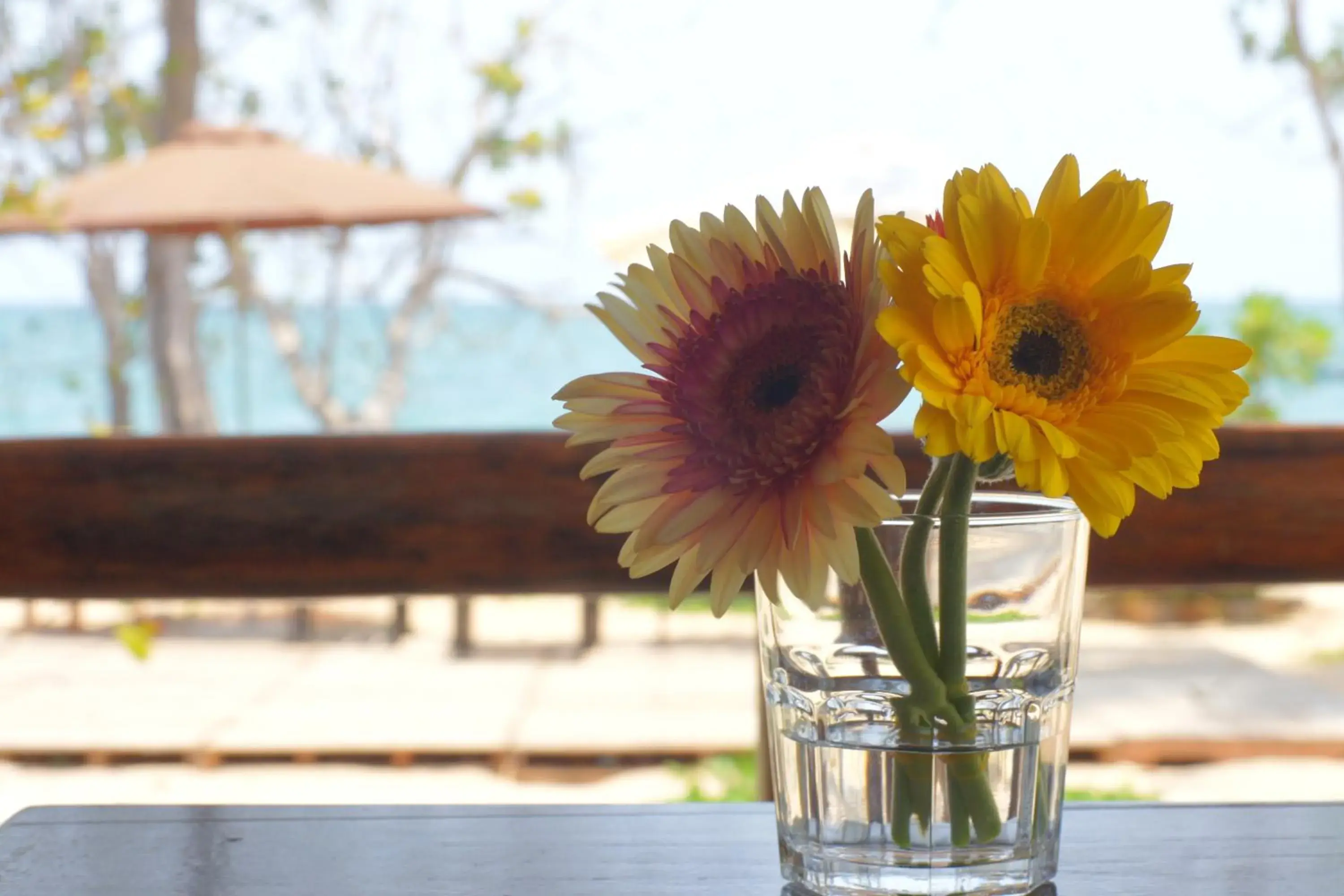 Restaurant/places to eat in Gold Sand Beach Bungalow Restaurant/places to eat in Gold Sand Beach Bungalow