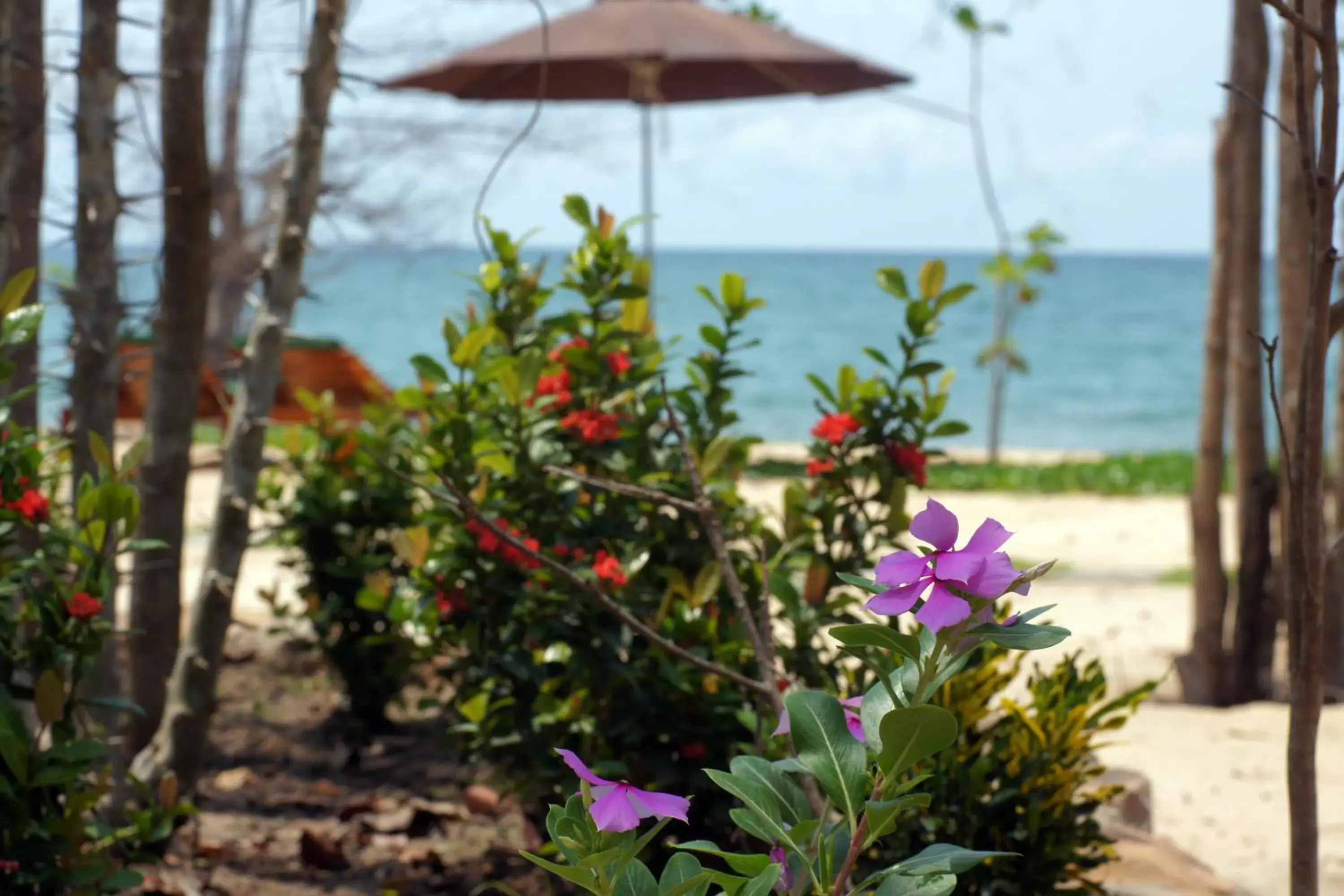 Property building in Gold Sand Beach Bungalow Property building in Gold Sand Beach Bungalow