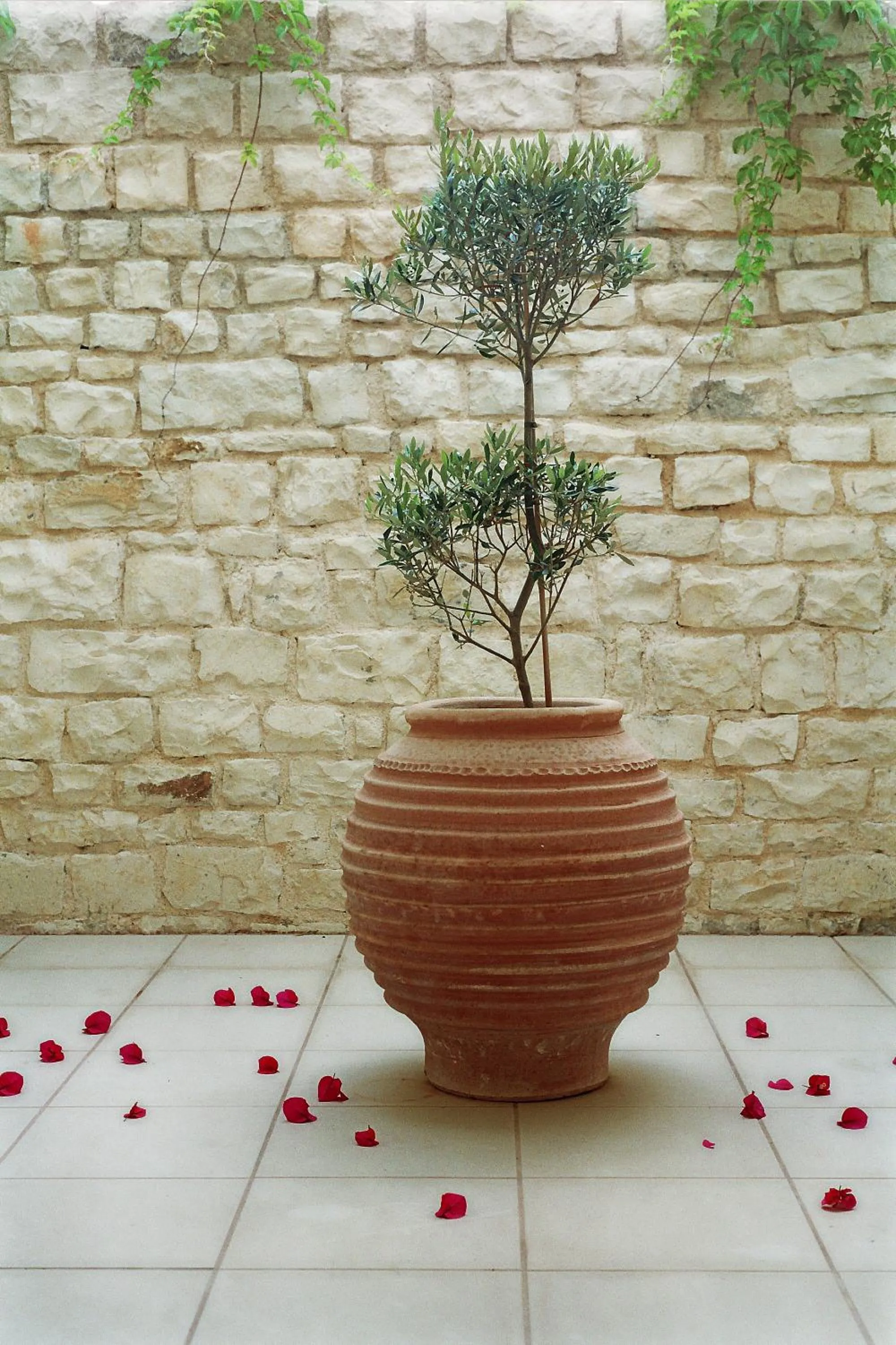 Other in Corinna Mare