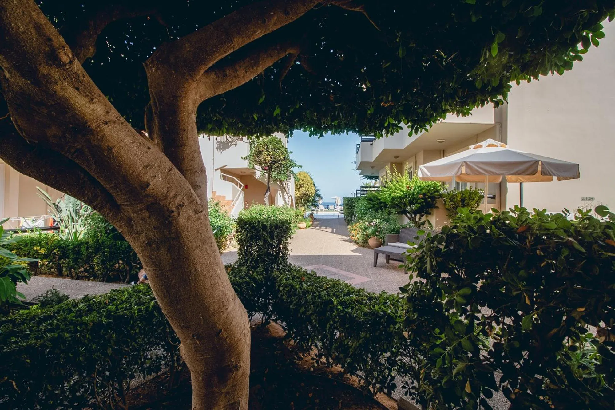 View (from property/room) in Corinna Mare