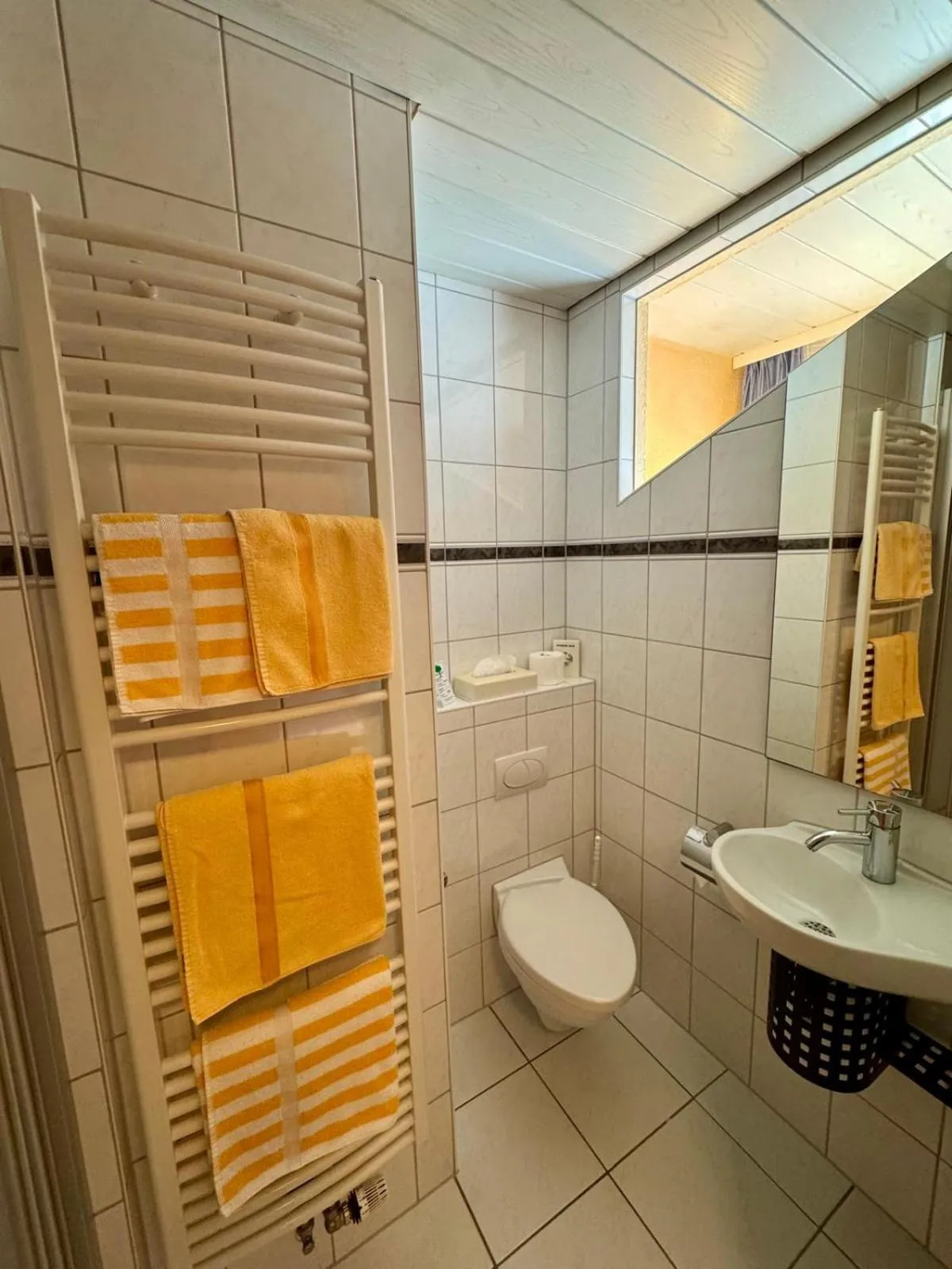 Shower in Hotel-Restaurant Gasthof Adler