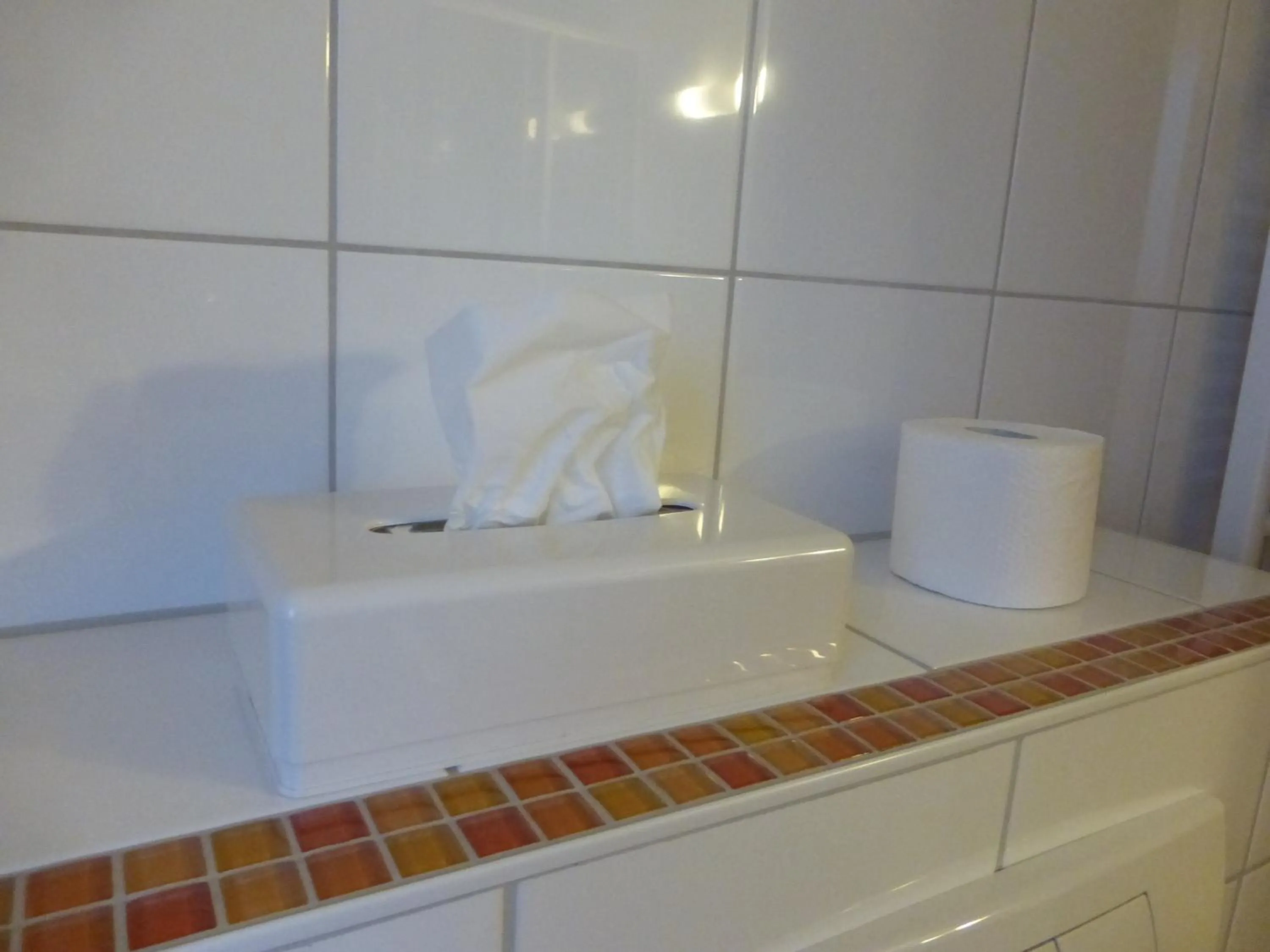 Toilet in Hotel-Restaurant Gasthof Adler