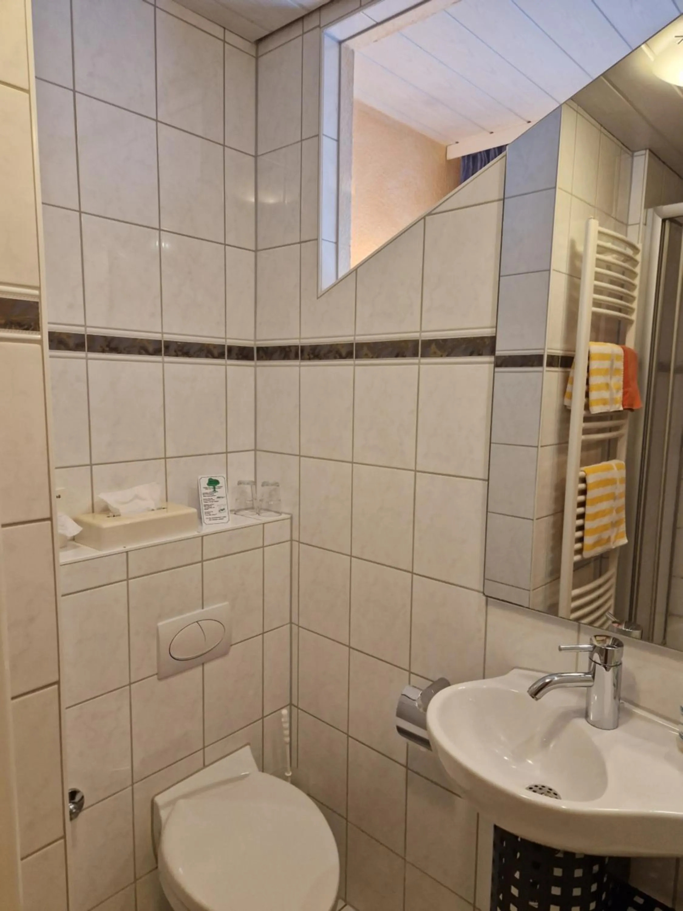 Toilet in Hotel-Restaurant Gasthof Adler