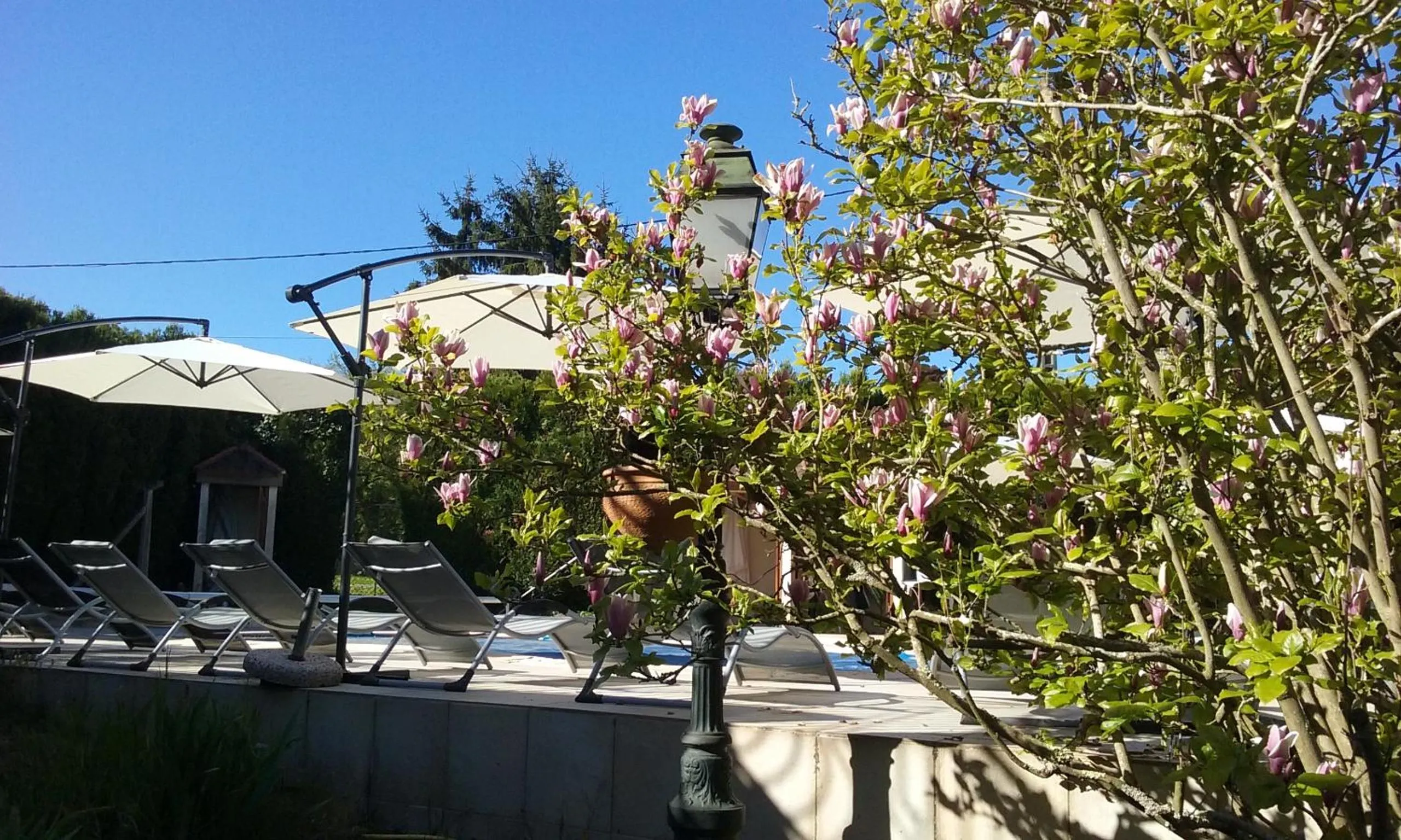 Swimming pool in Hotel du Commerce Chez Stéphane