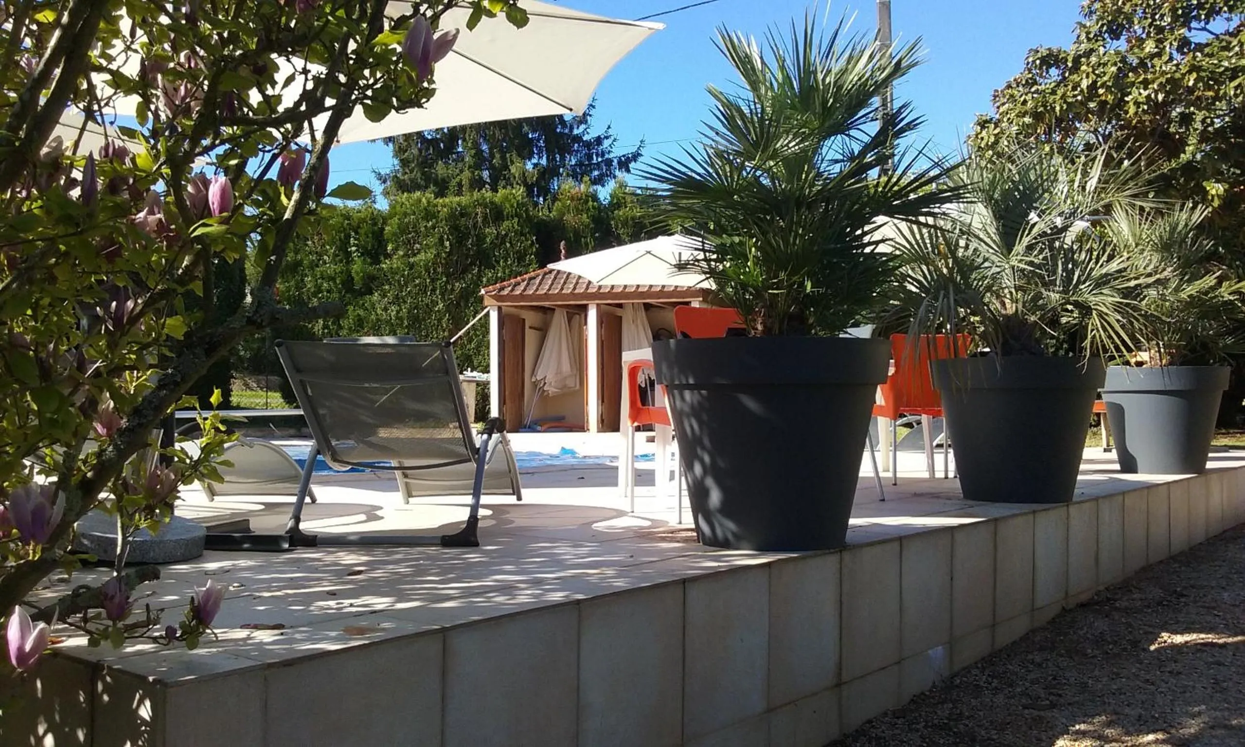 Pool view in Hotel du Commerce Chez Stéphane