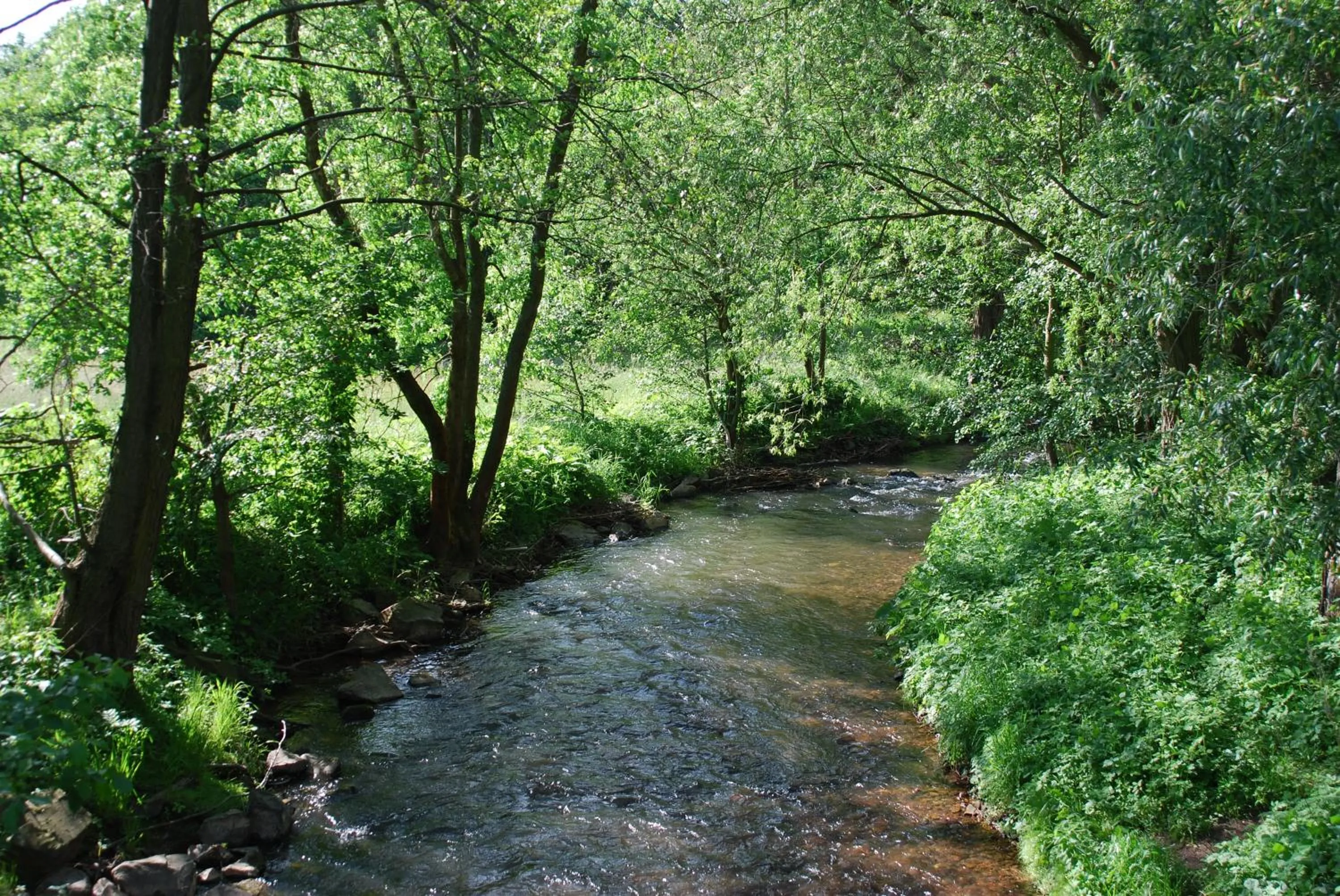 Area and facilities in Hotel am Steinertsee - Kassel-Ost